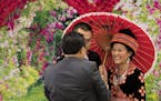 Photographer Vang Lee posed Chen Thao and Mee Xiong with an umbrella in a romantic flower backdrop as they had their pictured taken celebrating the Hm