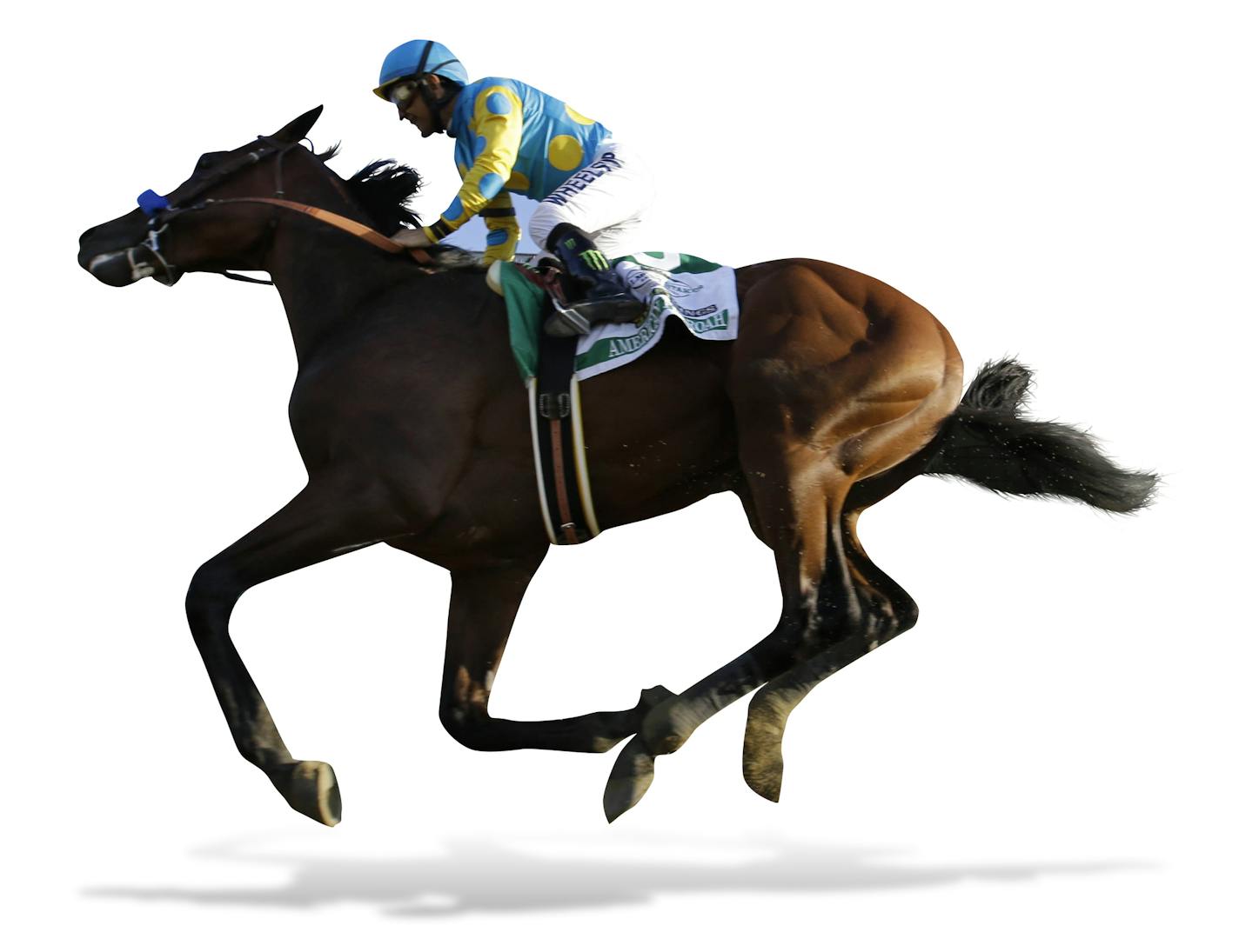 American Pharoah gallops past the grandstand with Victor Espinoza up after crossing the finish line to win the 147th running of the Belmont Stakes horse race at Belmont Park, Saturday, June 6, 2015, in Elmont, N.Y. American Pharoah is the first horse to win the Triple Crown since Affirmed won it in 1978. (AP Photo/Julio Cortez) ORG XMIT: ELM149