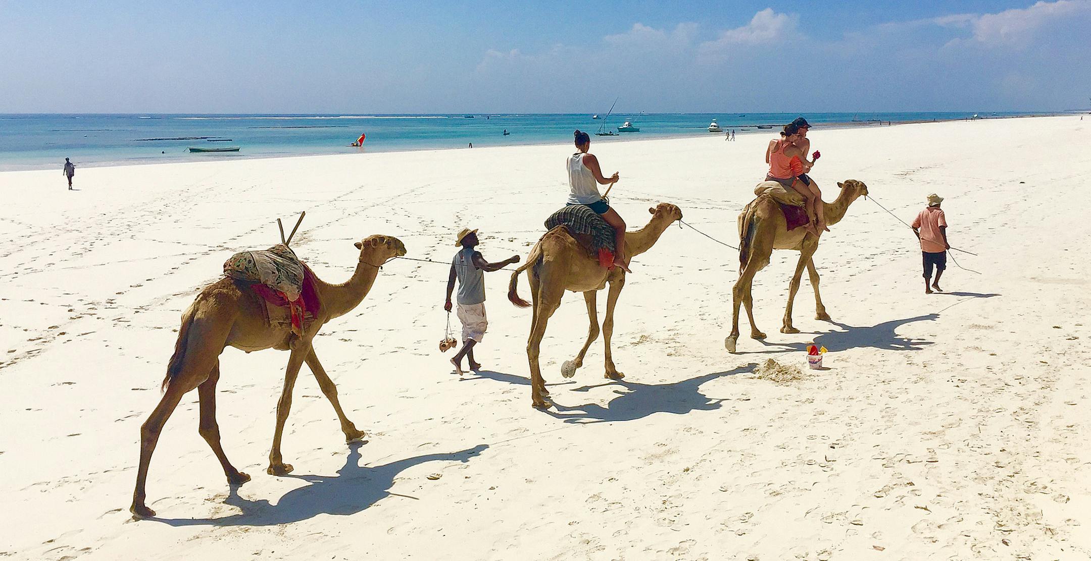 A trio of Minnesotans head out for a bumpy camel ride.