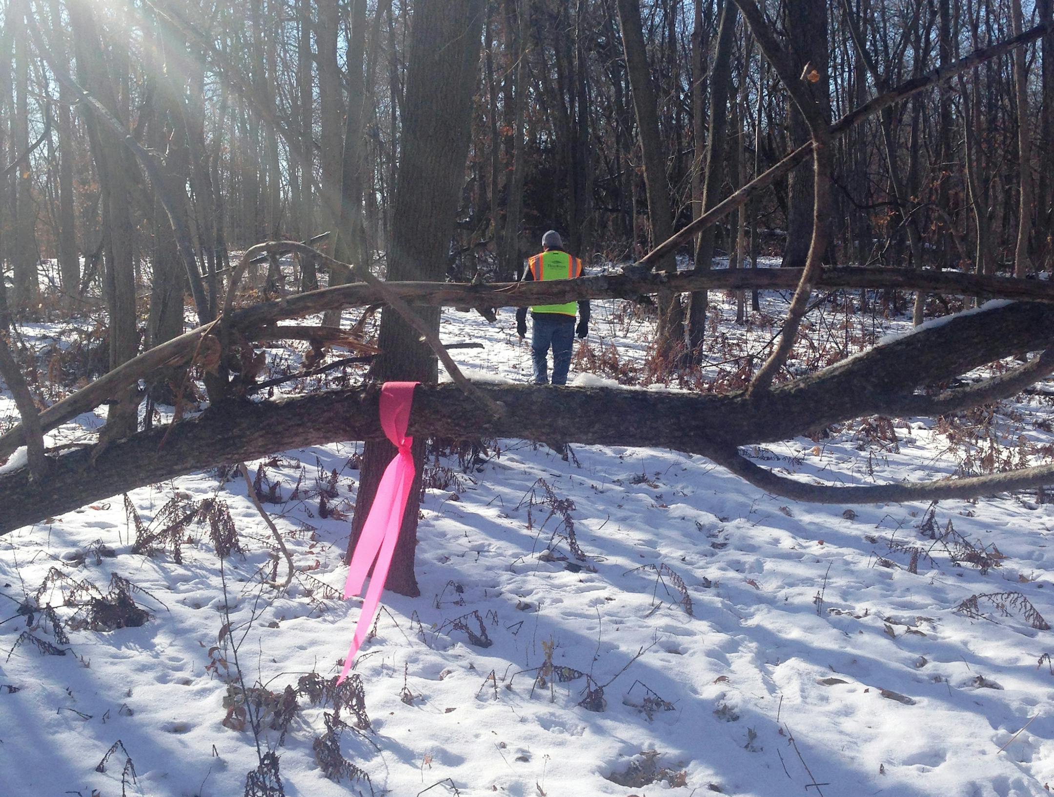 Parks chief mark themig and a marker of future trails. Photo by Emma Nelson