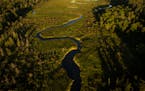 The Straight River meanders through a forested area south of Park Rapids, Minn. The Straight River is a tributary of the Mississippi threatened by an 