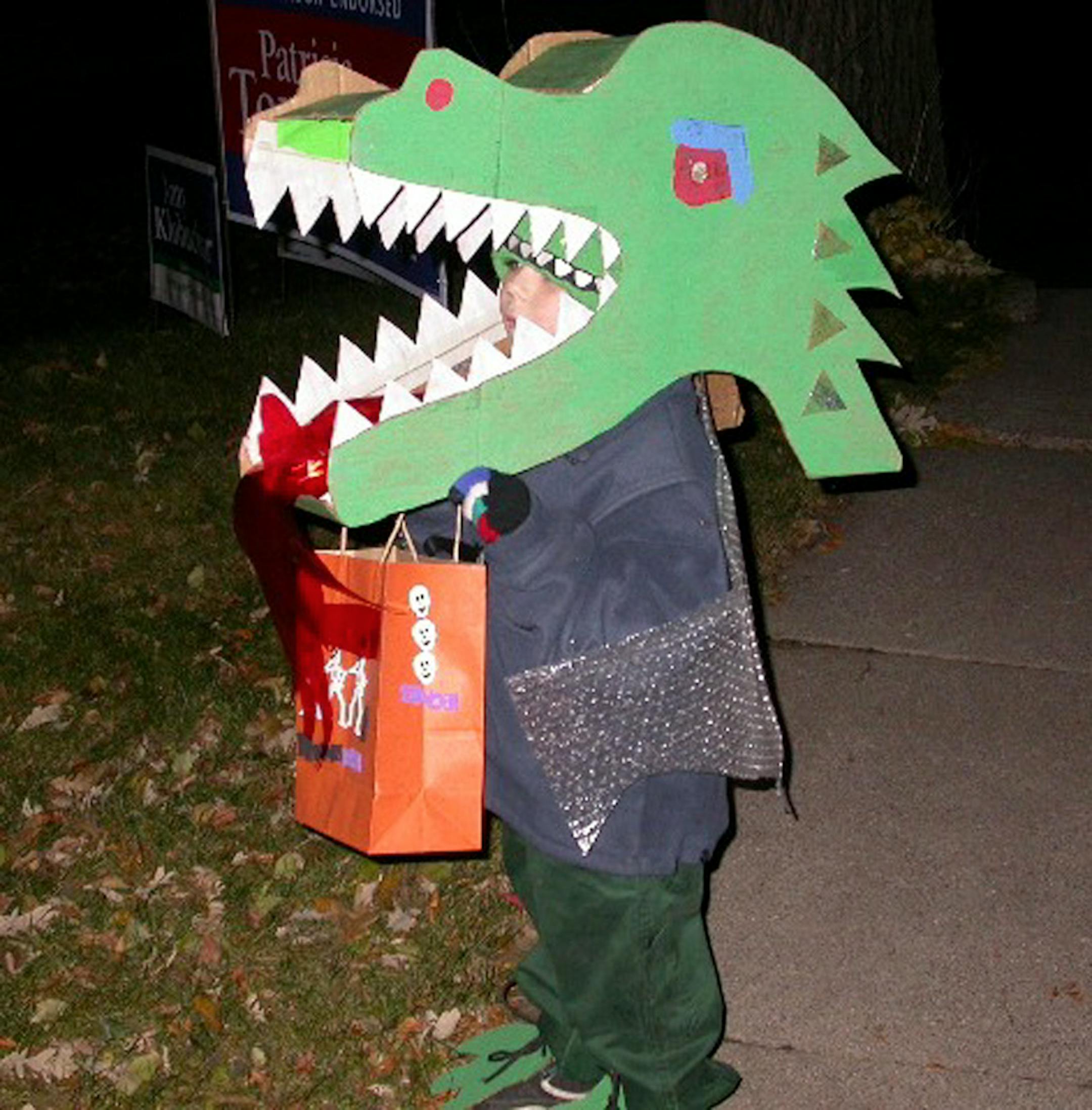 Jill Boogren of Minneapolis made this dragon costume with her son, Miles.