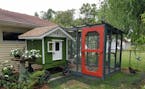 Custom built coop and run on the Twin Cities Coop Tour, Sept. 17. Provided