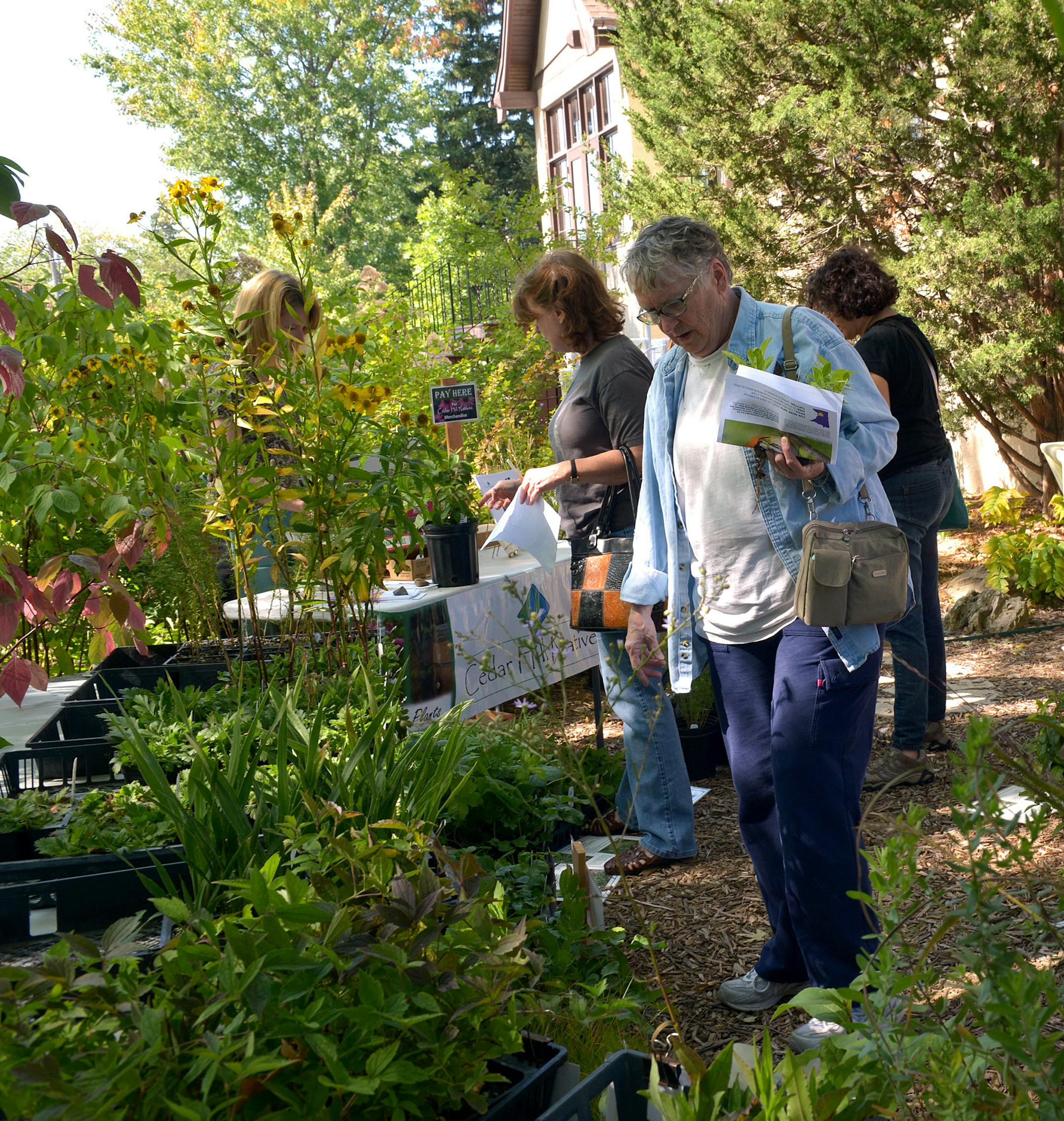 Helen Geiles browses Cedar Hill Natives plant selection plant selection Saturday, September 20 at the Dharma Field Zen Center's Pollinator Buzzaroo in south Minneapolis. ] (SPECIAL TO THE STAR TRIBUNE/BRE McGEE) **Helen Geiles (blue shirt, center)