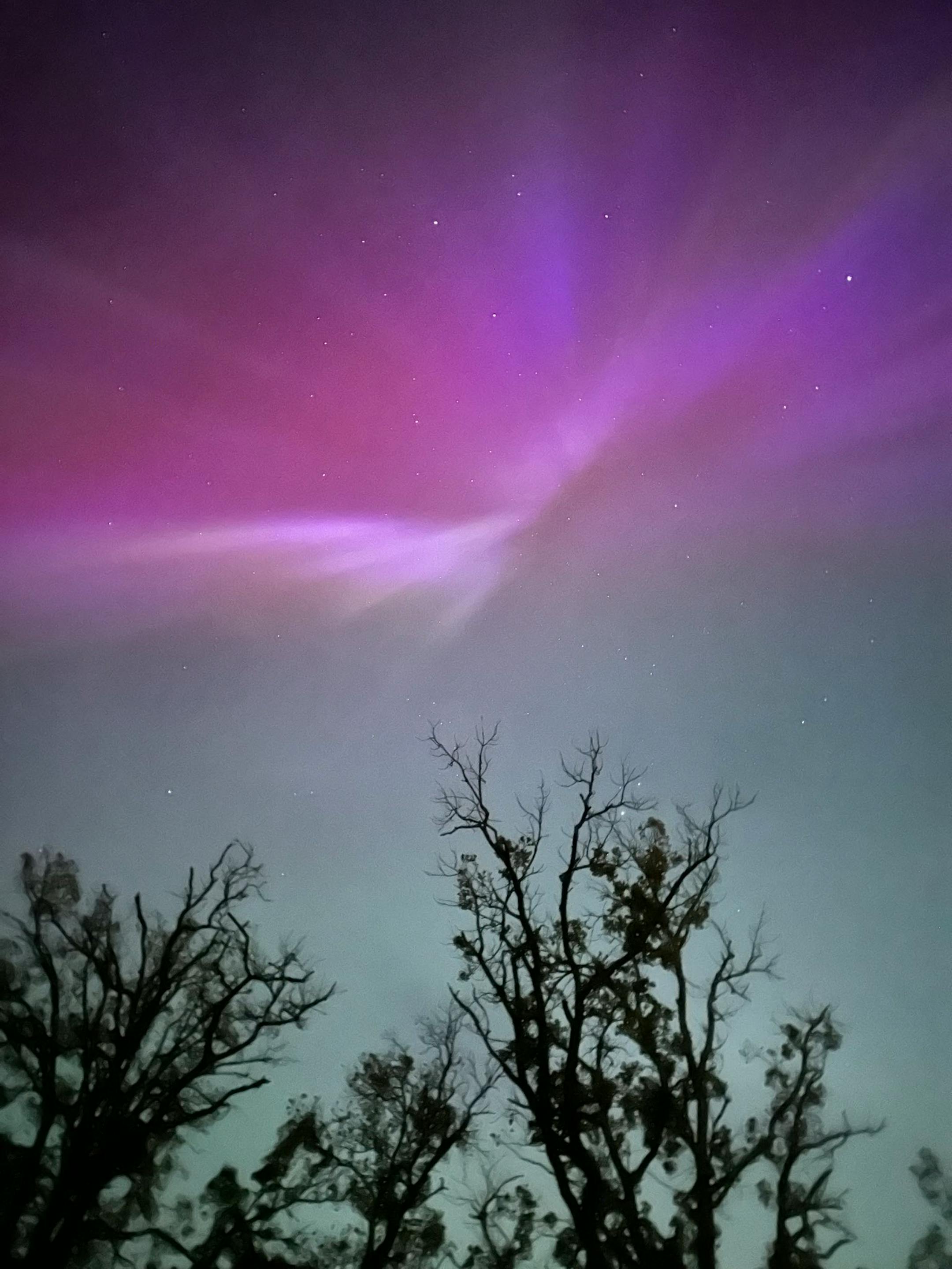 The northern lights.