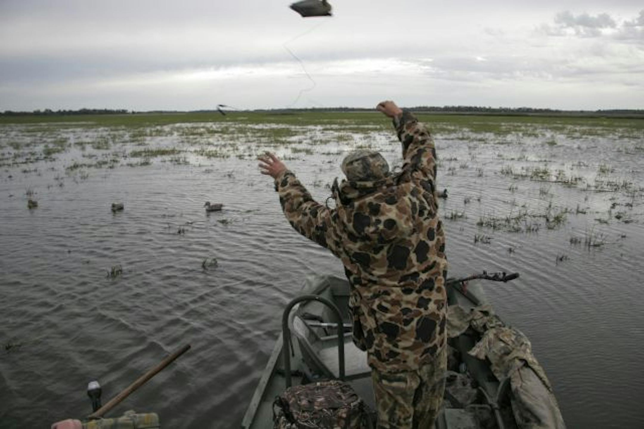 Doug Smith/Star Tribune Dan Kirchner of Mankato tosses decoys out for the duck opener Saturday on Swan Lake.