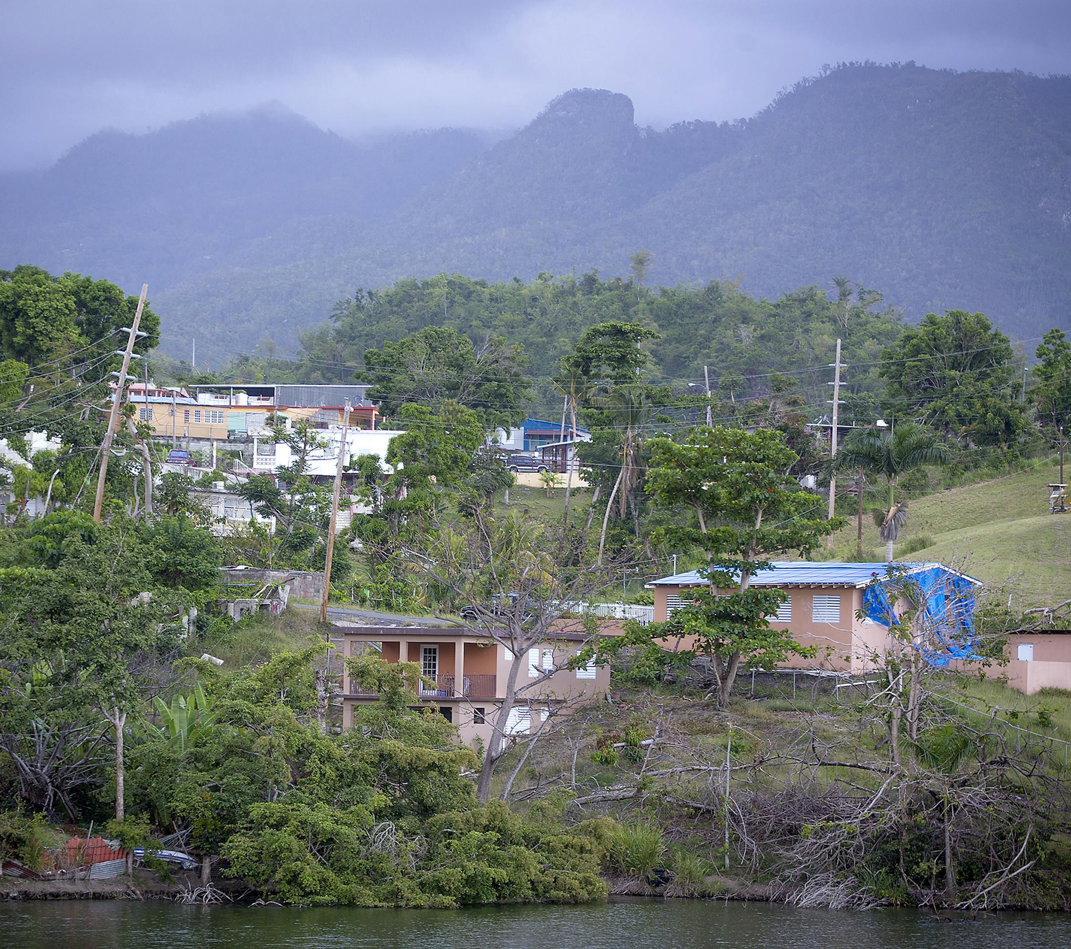 Trees remained damaged and destroyed on the edge of a lake and blue FEMA tarps covered rooftops more than seven months after Hurricane Maria, Wednesday, April 18, 2018 in Villalba, Puerto Rico.