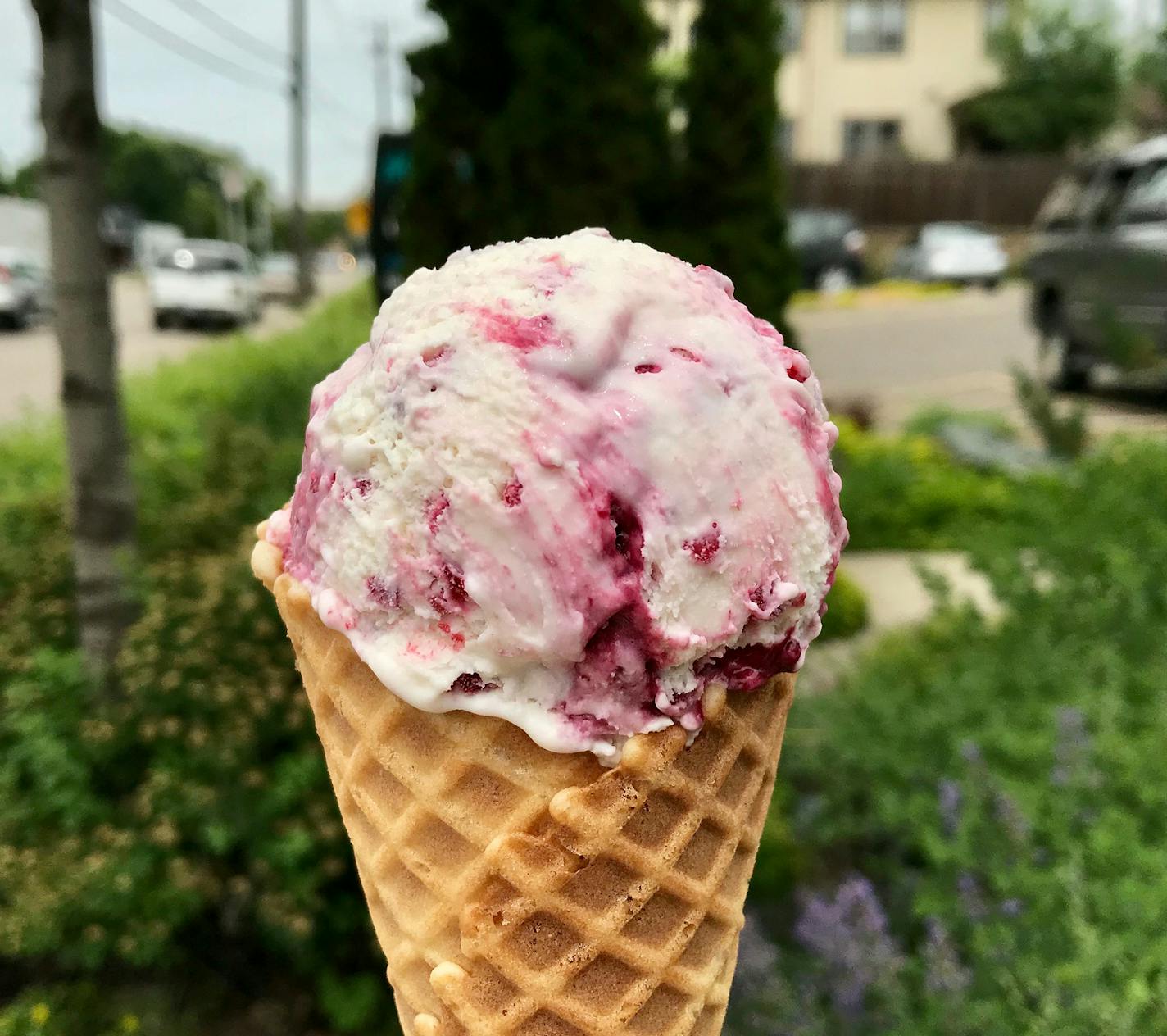 Wild white chocolate ice cream at Fletcher's Ice Cream