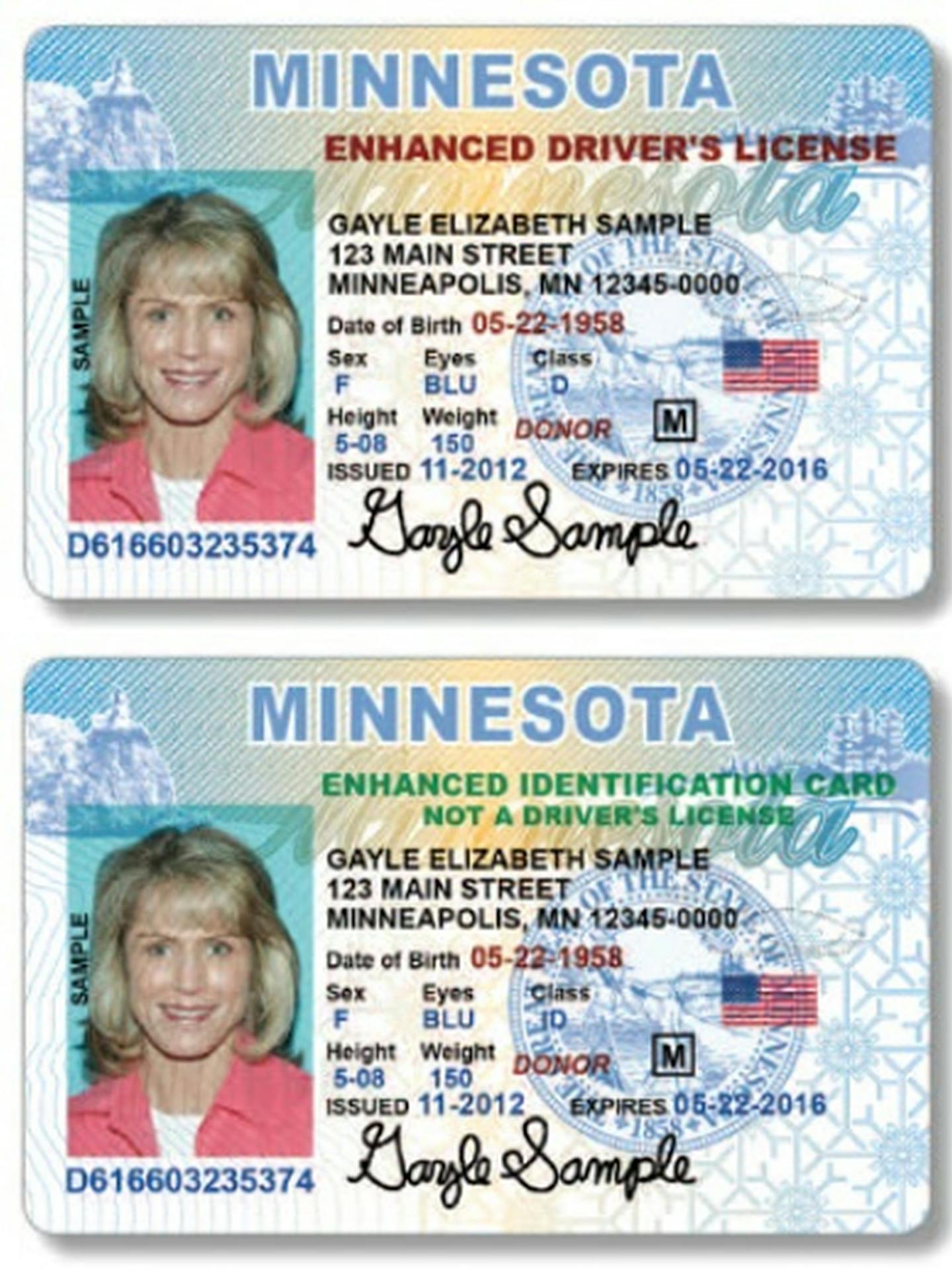 Minnesota sample identification card and drivers license. This is a sample provided by the Minnesota department of Public Safety