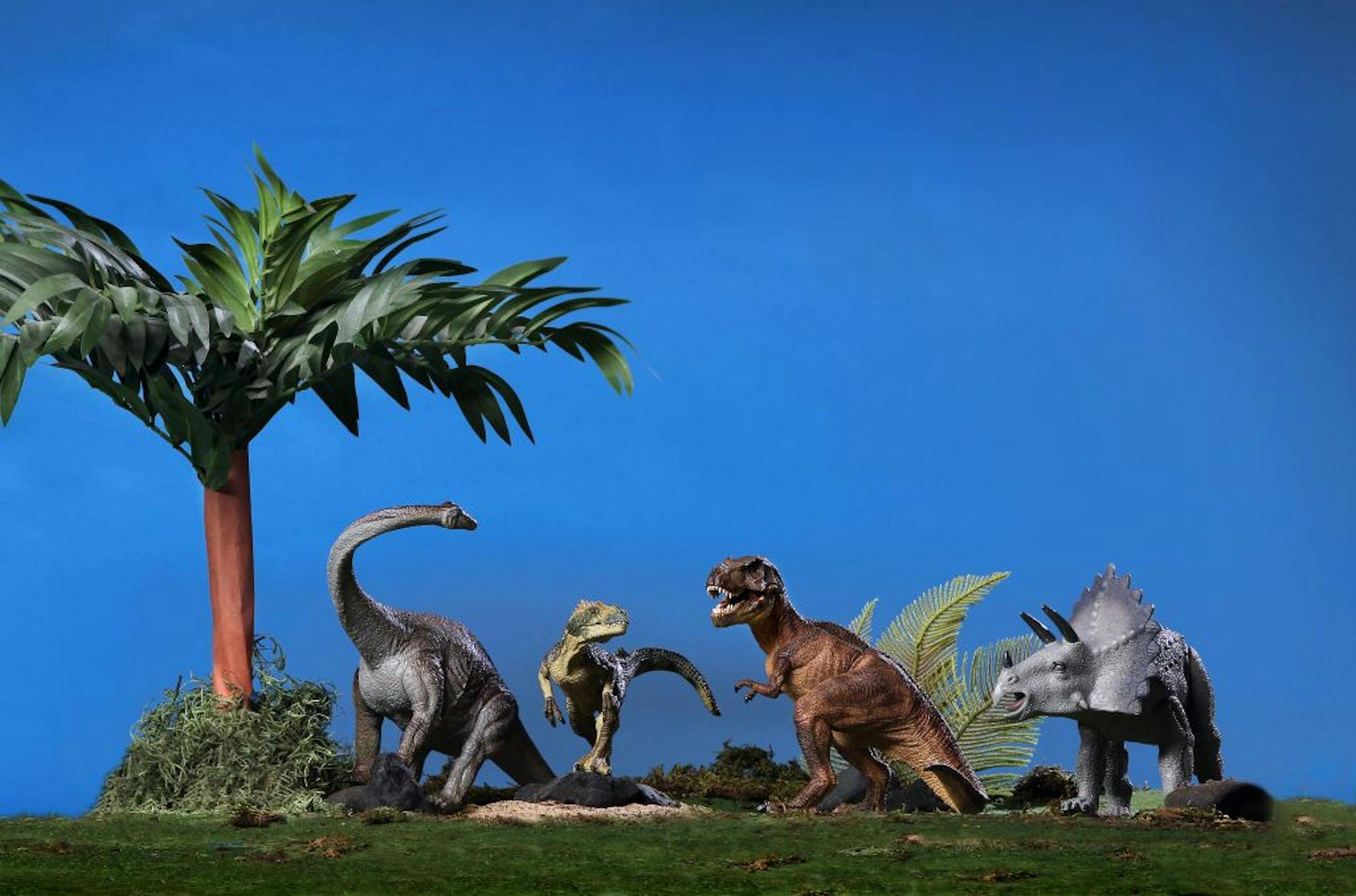 Dinorama illustration, for variety story.