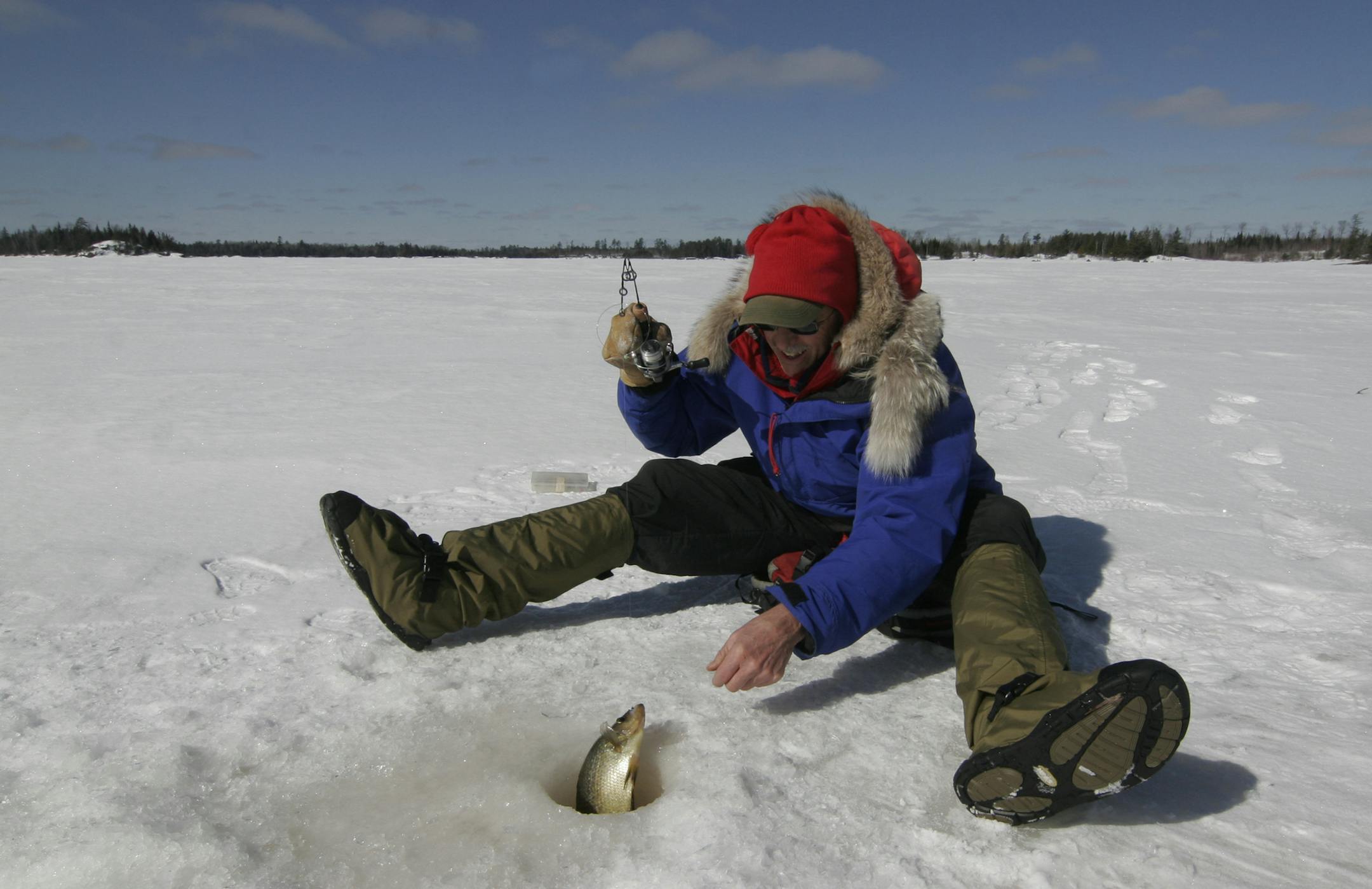 Sam Cook of Duluth lands an 11.5-inch crappie he caught on a BWCA lake. Photo by Doug Smith/Star Tribune.