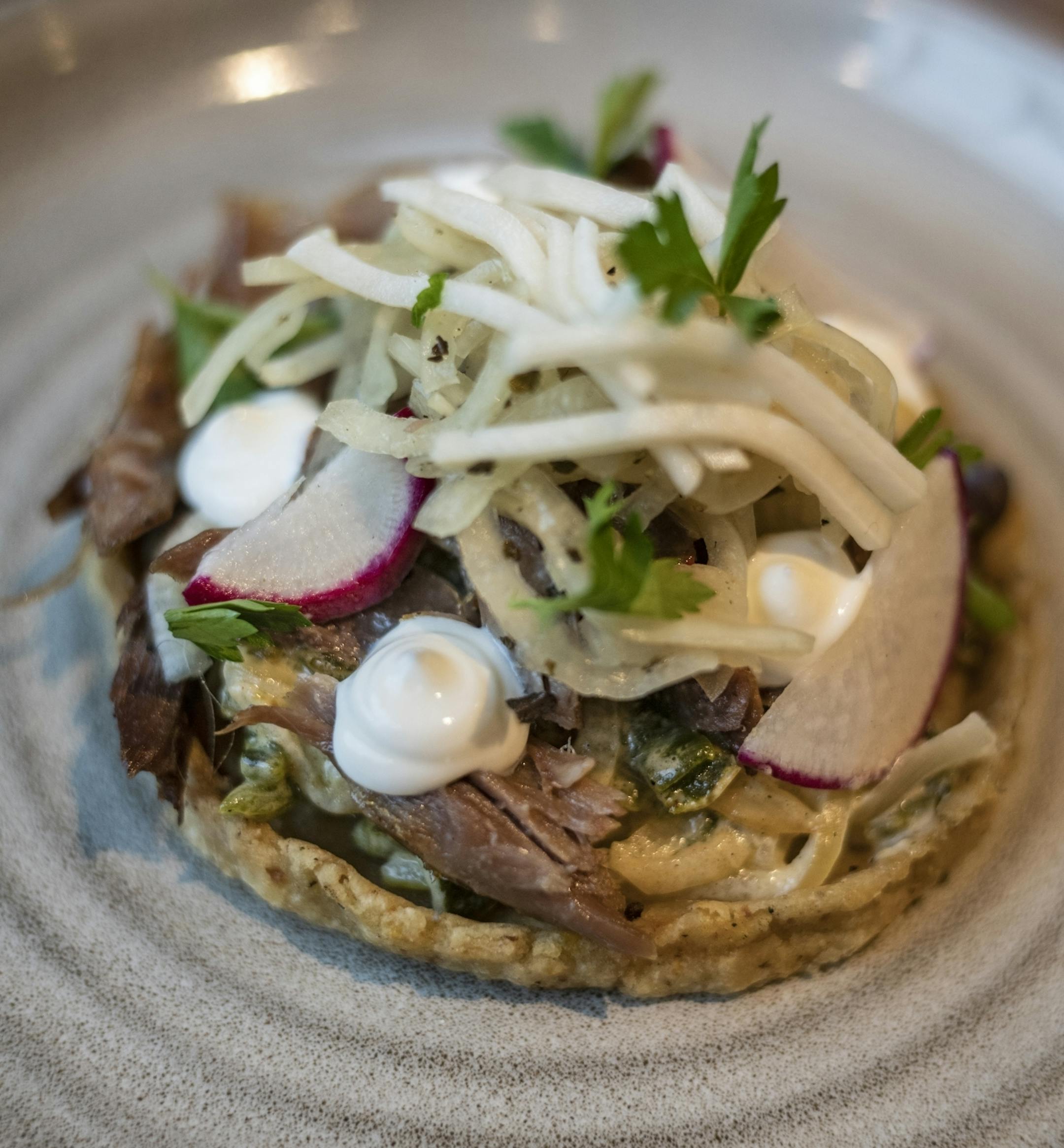 Duck carnitas made with some, rajas con crema, and escabeche.