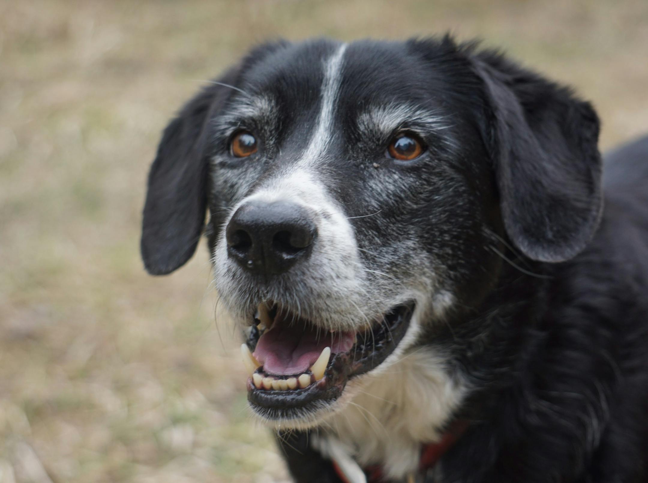 In mid-life, Riley really came into his own.
