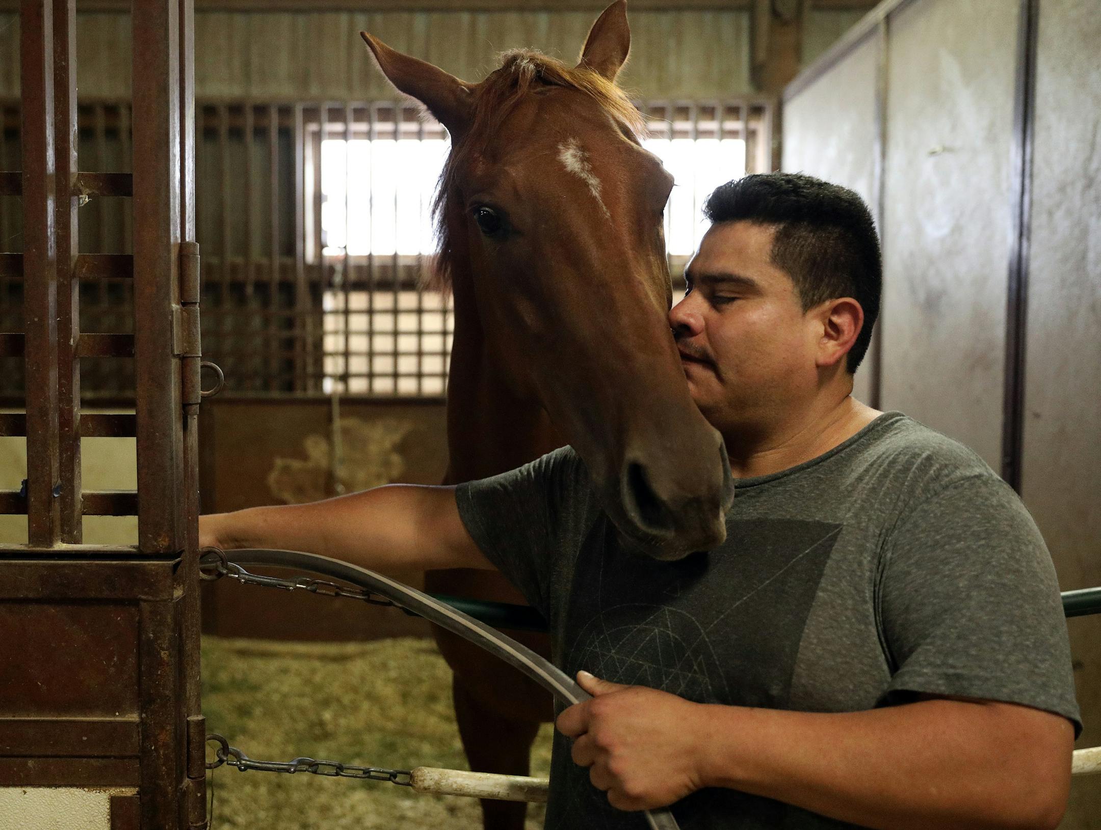 Alejandro Michel, who is working on a H-2B visa, grooms horses in Valorie Lund's barn at Canterbury. ] ANTHONY SOUFFLE &#xef; anthony.souffle@startribune.com Workers cleaned stalls and worked in the barns at Canterbury Park in Shakopee, Minn. Trainers at Canterbury are having difficulties obtaining H-2B immigration visas for their workers from Mexico