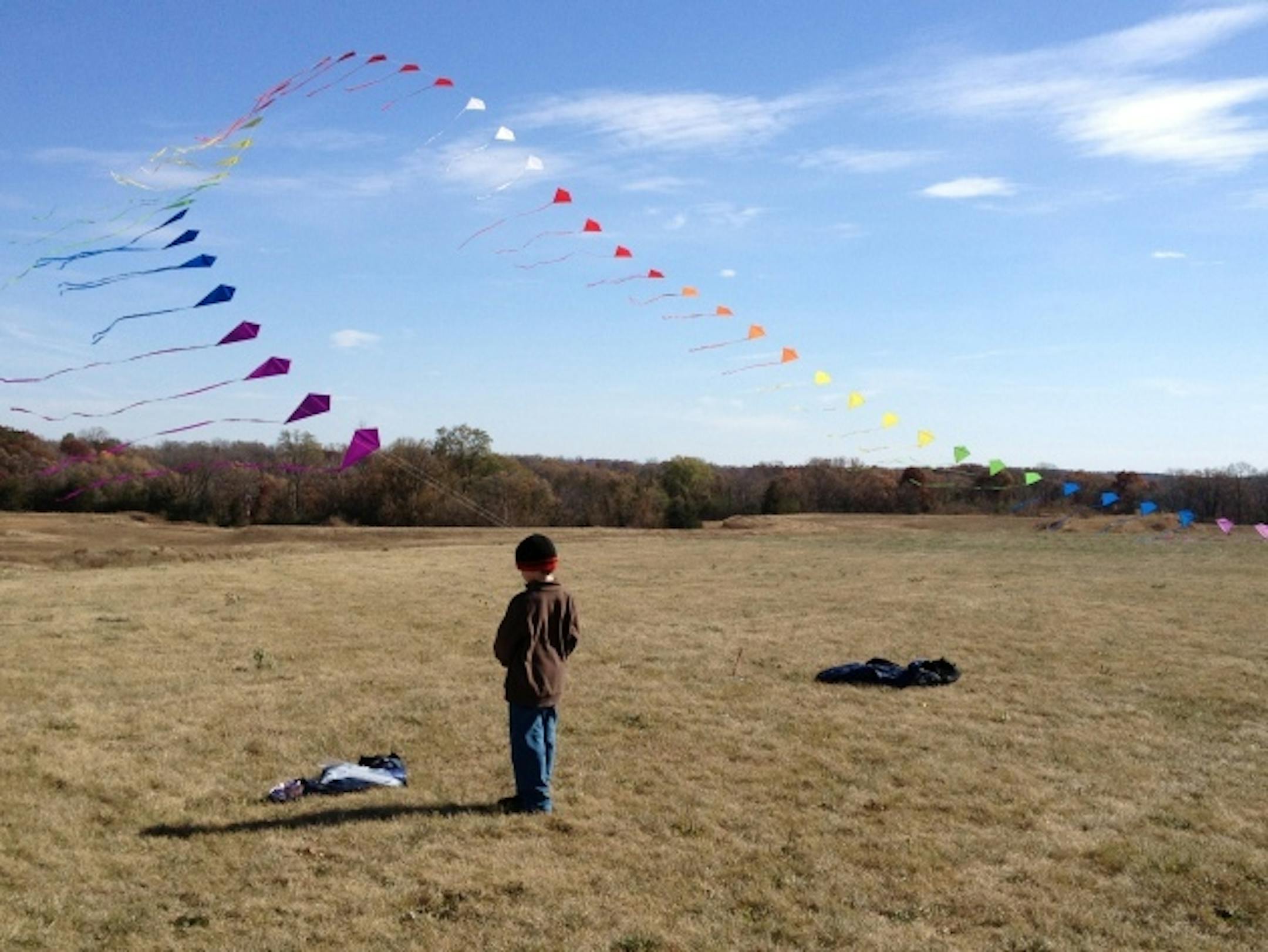 James Farrelly, age 6, watched an arch of kites fly in River Falls, Wis. on Sunday
