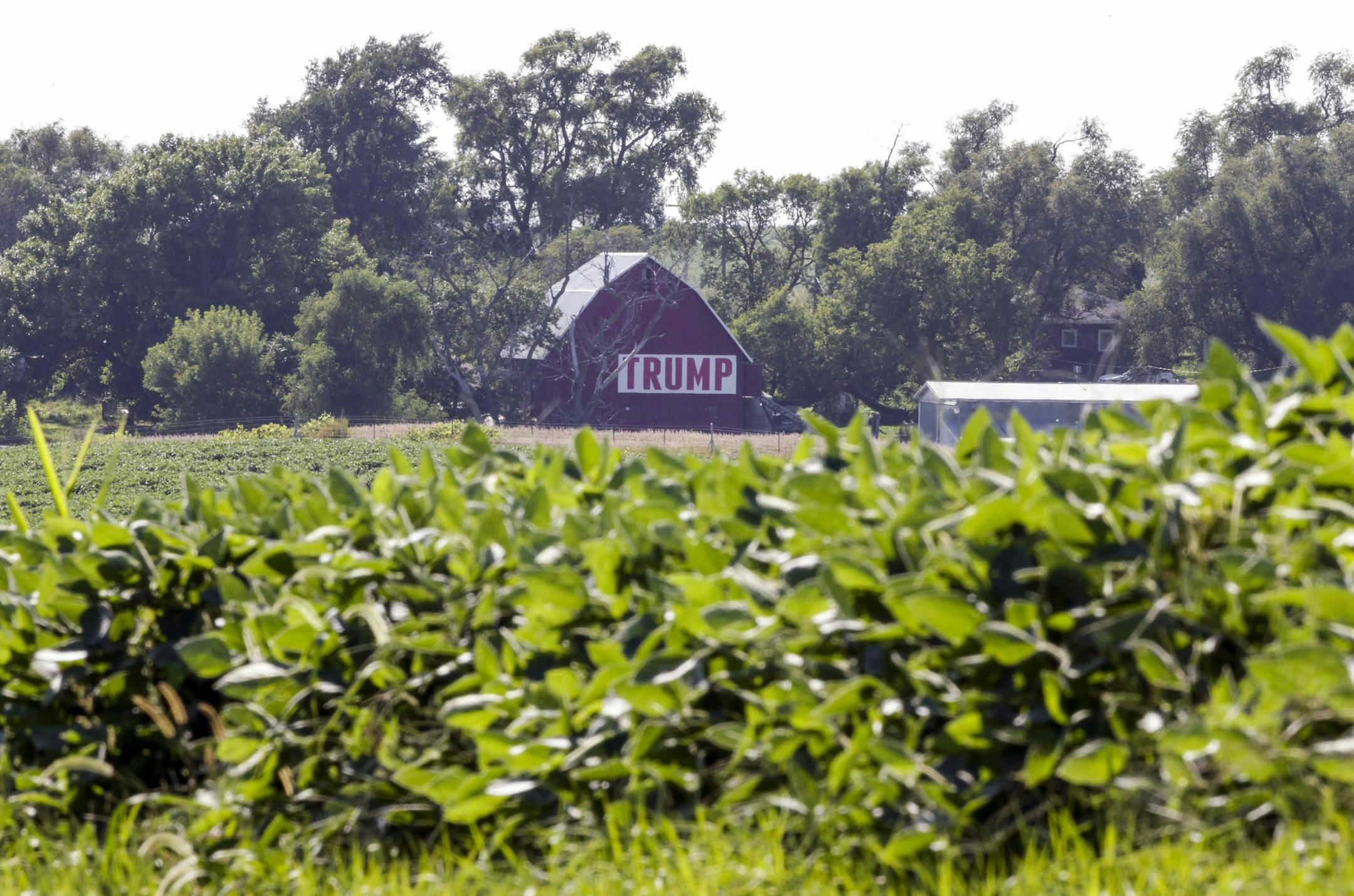 A field of soybeans is seen in front of a barn carrying a large Trump sign in rural Ashland, Neb., Tuesday, July 24, 2018. The Trump administration announced it will provide $12 billion in emergency relief to ease the pain of American farmers slammed by President Donald Trump's escalating trade disputes with China and other countries. (AP Photo/Nati Harnik)
