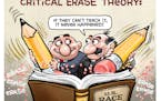 Sack cartoon: Critical erase theory