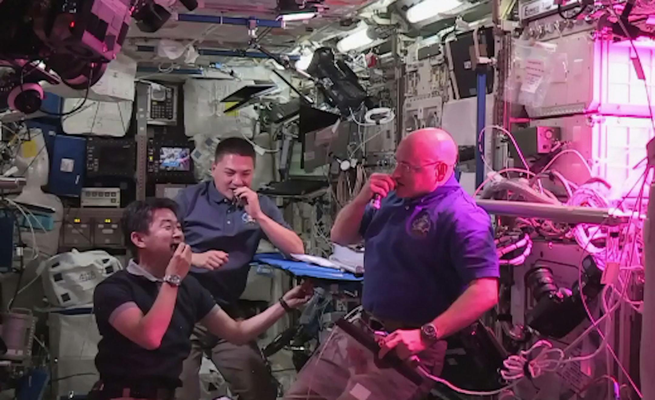 NASA gives its audience on Earth a glimpse of lettuce grown in the first vegetable garden in space. Illustrates SPACE (category a), by Rachel Feltman (c) 2015, The Washington Post. Moved Monday, Aug. 10, 2015. (MUST CREDIT: NASA: Space Station Live.)