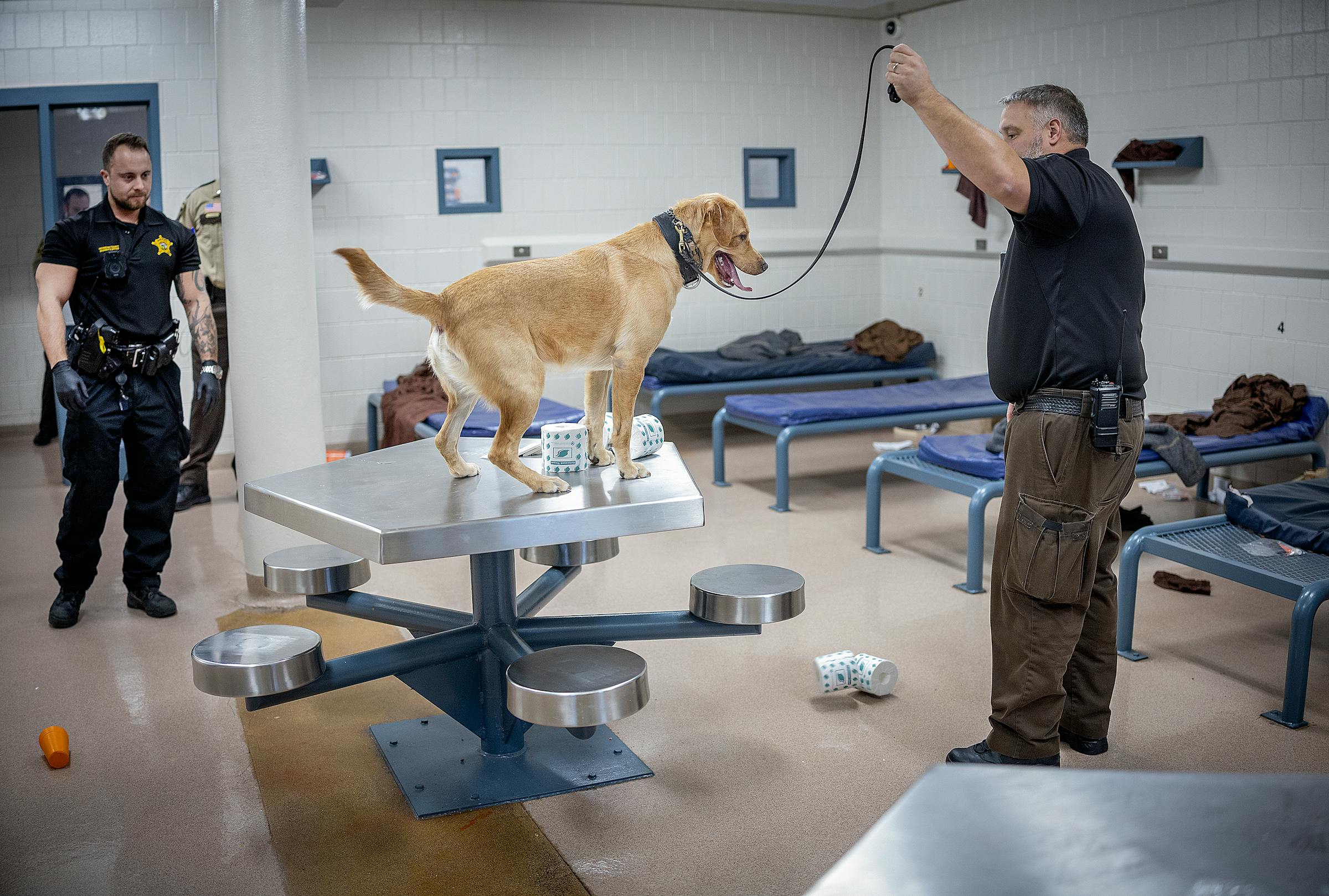 Hennepin County jail has a drugsniffing dog named Goose