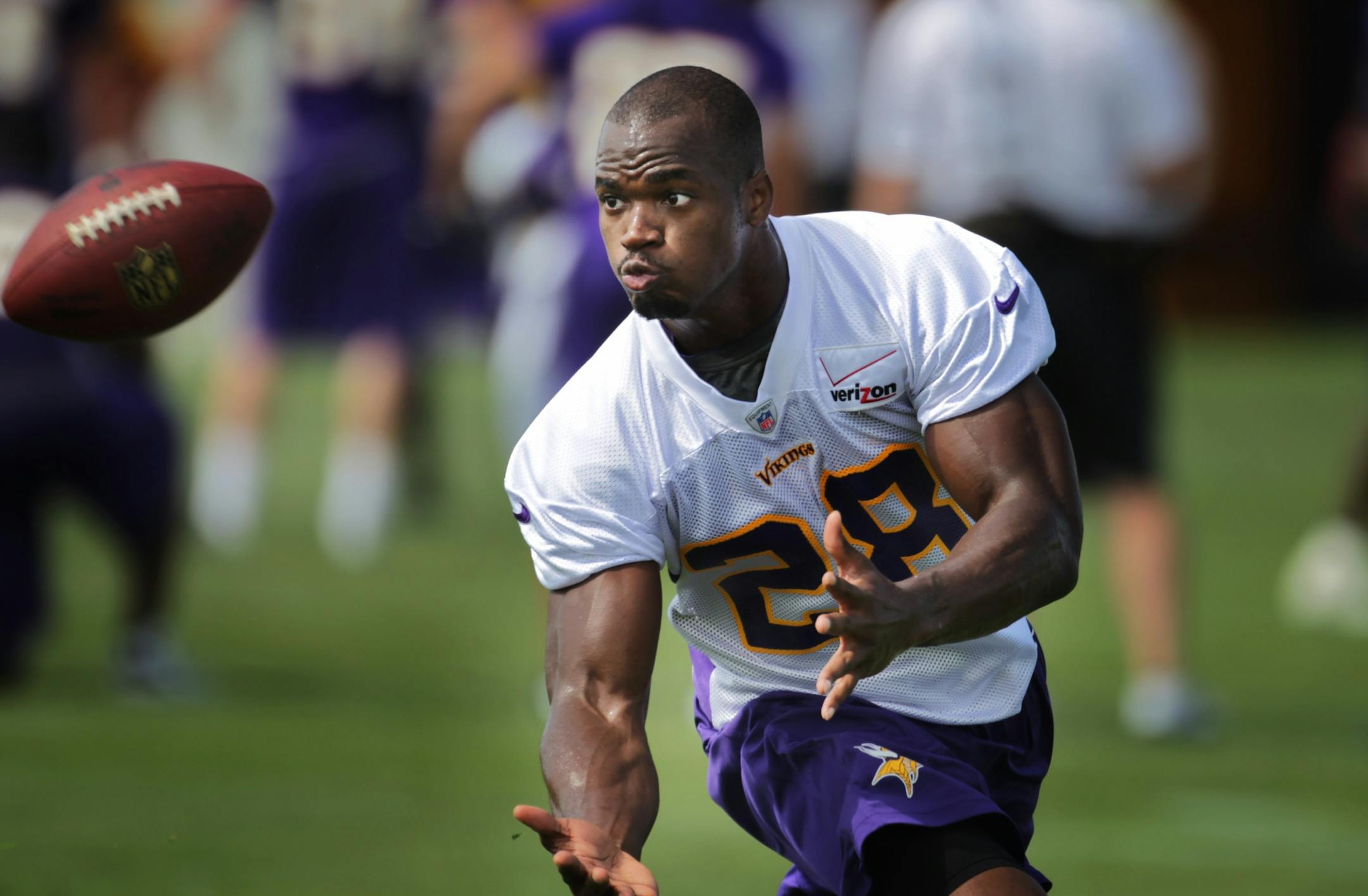 Vikings running back Adrian Peterson