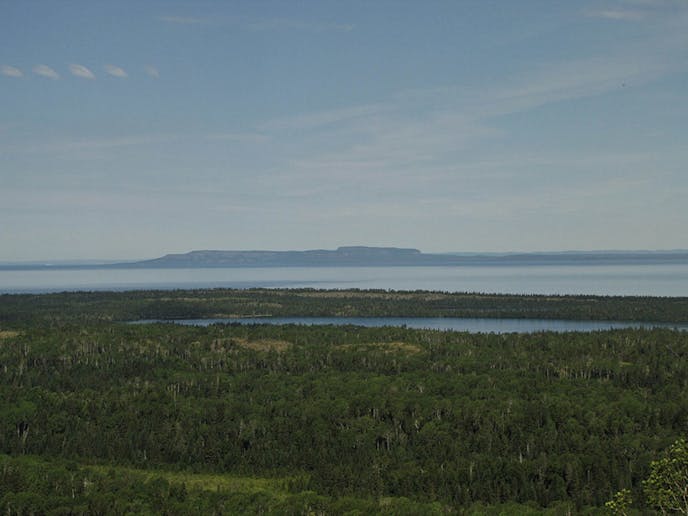 Isle Royale, a national park in Lake Superior, is a remote island famed for its moose population and intrepid adventurers.
Photo by Melanie Radzicki McManus/special to the Star Tribune