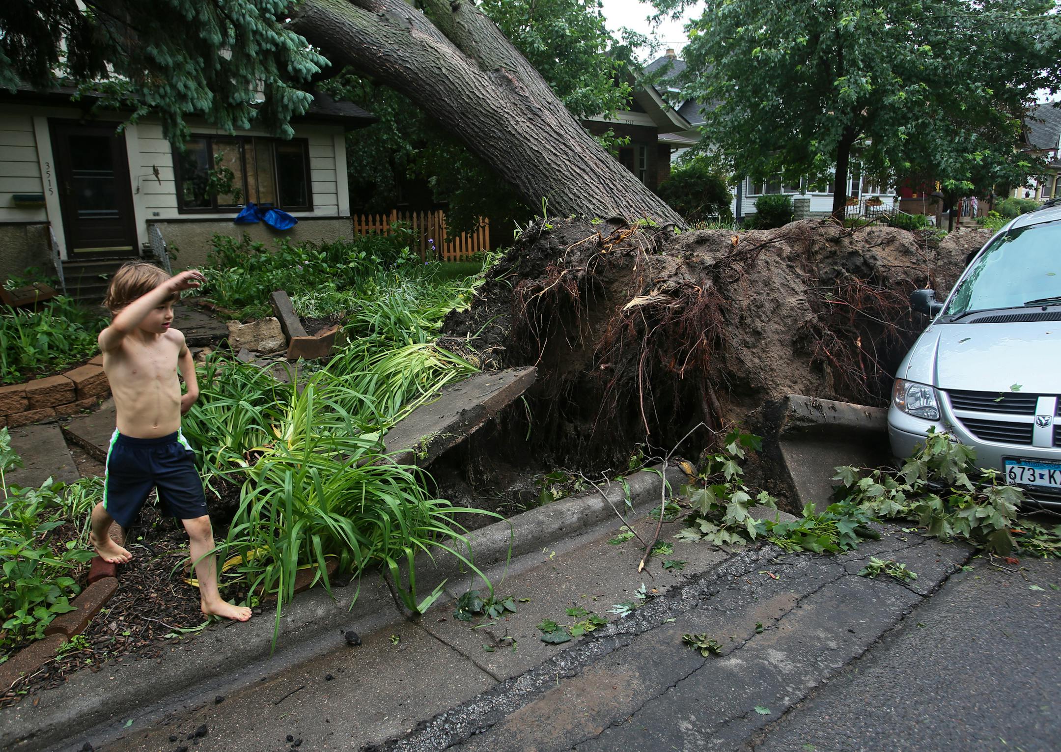 In this June 22, 2013, file photo, Jonah Kaurman, 7, came by to investigate the large tree that toppled in the storm in the 3500 block of S. 16th Ave. in Minneapolis.