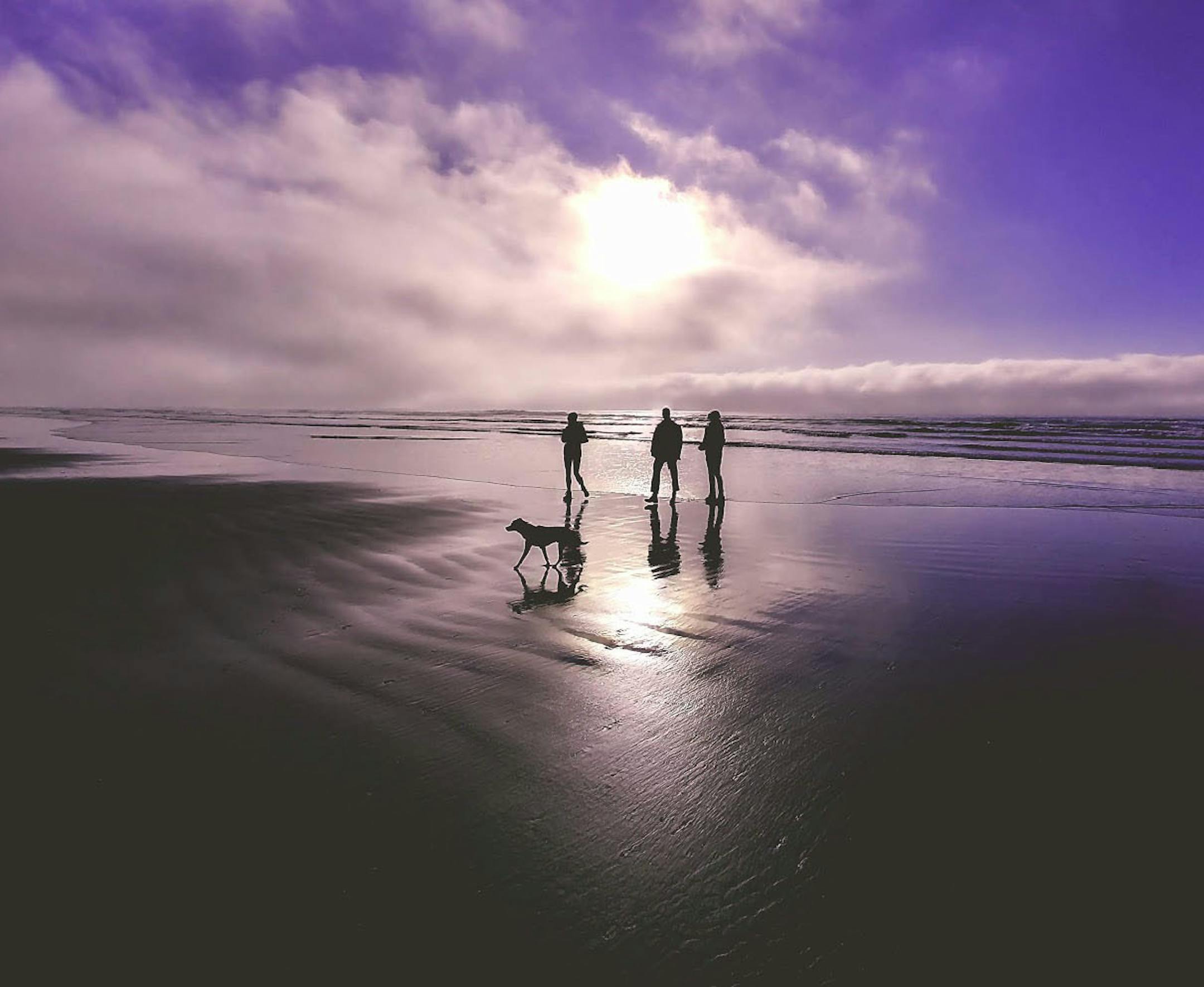 Can I have your name as you would like it to appear in print, and the town in which you live? Sharon Allexsaht- St Paul, MN Where were you when you took this photo? What does it show? Portland, OR--- The beach at Manzanita What equipment did you use—a phone or a particular camera? Cell phone- Android – nothing special How did you get this shot? Did you employ any particular technique: did you get low or high to change the angle, or wait just for the right moment? I pointed the phon