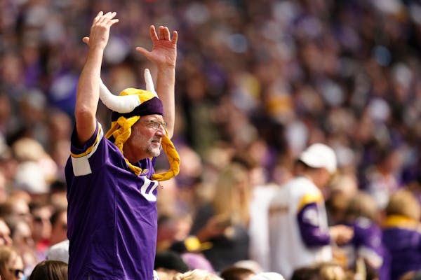 A Minnesota Vikings fan cheers during the team’s game against the Chargers last month.