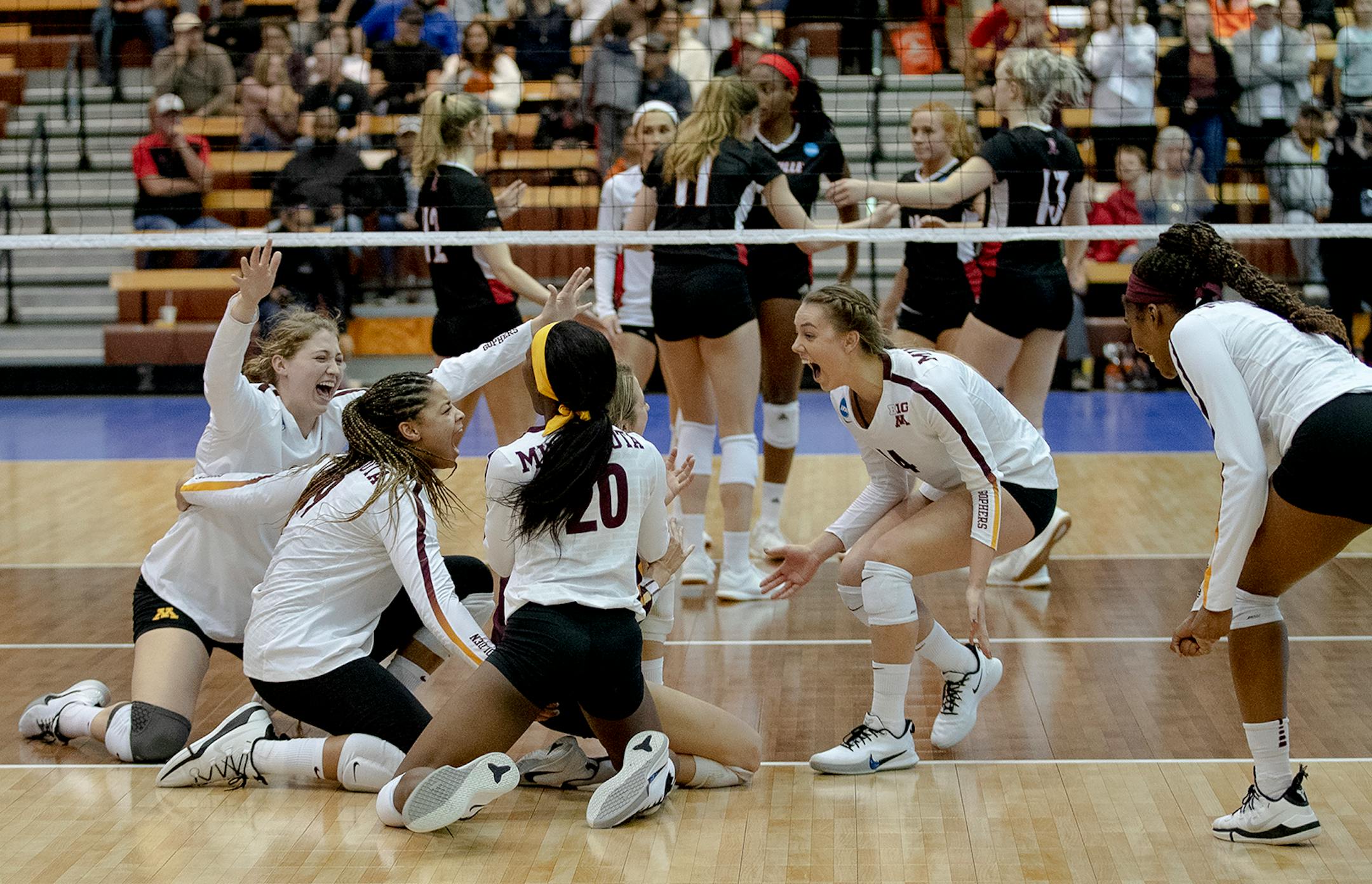 Minnesota players celebrated sweeping Louisville in the fourth round of the NCAA volleyball tournament on Saturday, Dec. 14, 2019, in Austin, Texas. (Nick Wagner/Special to the Star Tribune)