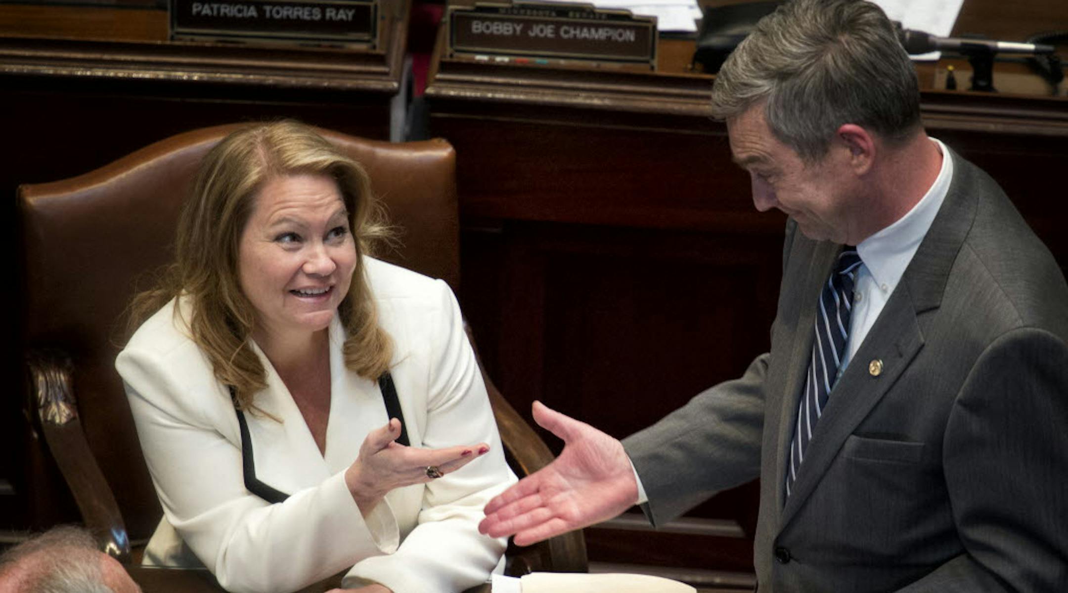 Sen. Julianne Ortman, R-Chanhassen, and Sen. Minority Leader David Hann were all smiles after the DFL tax bill was defeated Monday. The bill later passed 35-31.