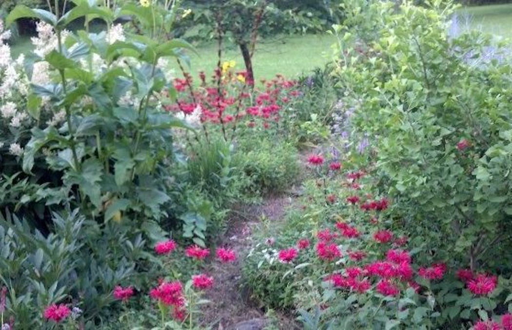 Garden to be featured on Hennepin County Master Gardeners Learning Tour