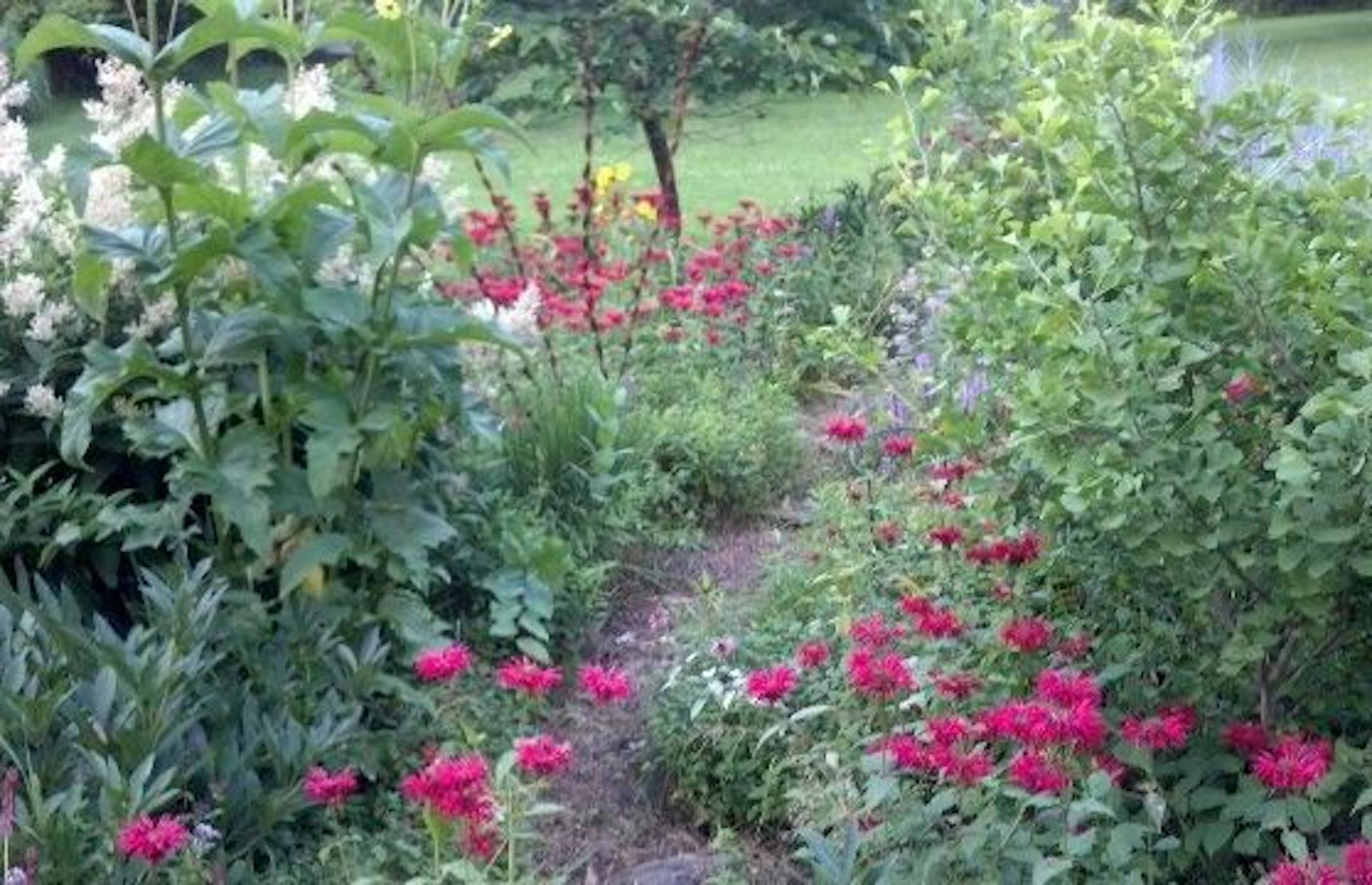 Garden to be featured on Hennepin County Master GArdeners Learning Tour