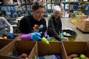 Laura Wennik, a volunteer with the Food Group, packed pears into produce boxes last week during the food bank’s “Pack to the Max” event on Give 