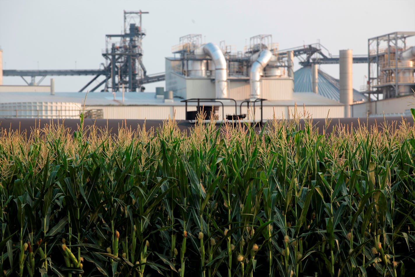 An ethanol refinery in Chancellor, S.D., one of many in the Midwest, is shown, July 22, 2021.