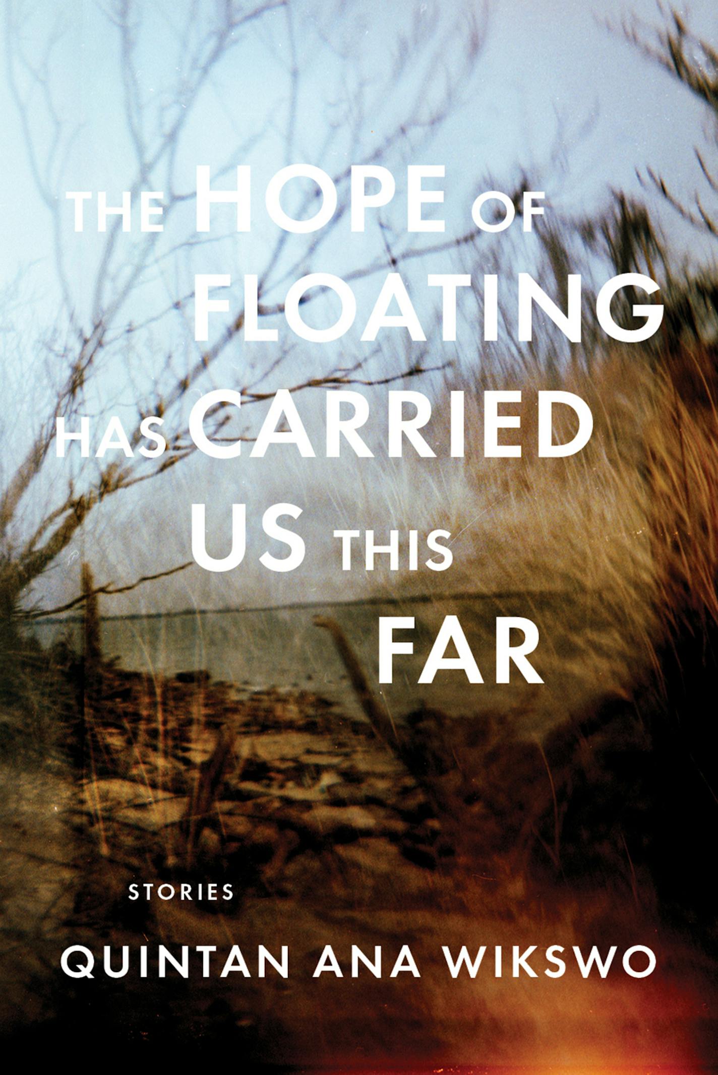 "The Hope of Floating has Carried Us This Far," by Quintan Ana Wikswo