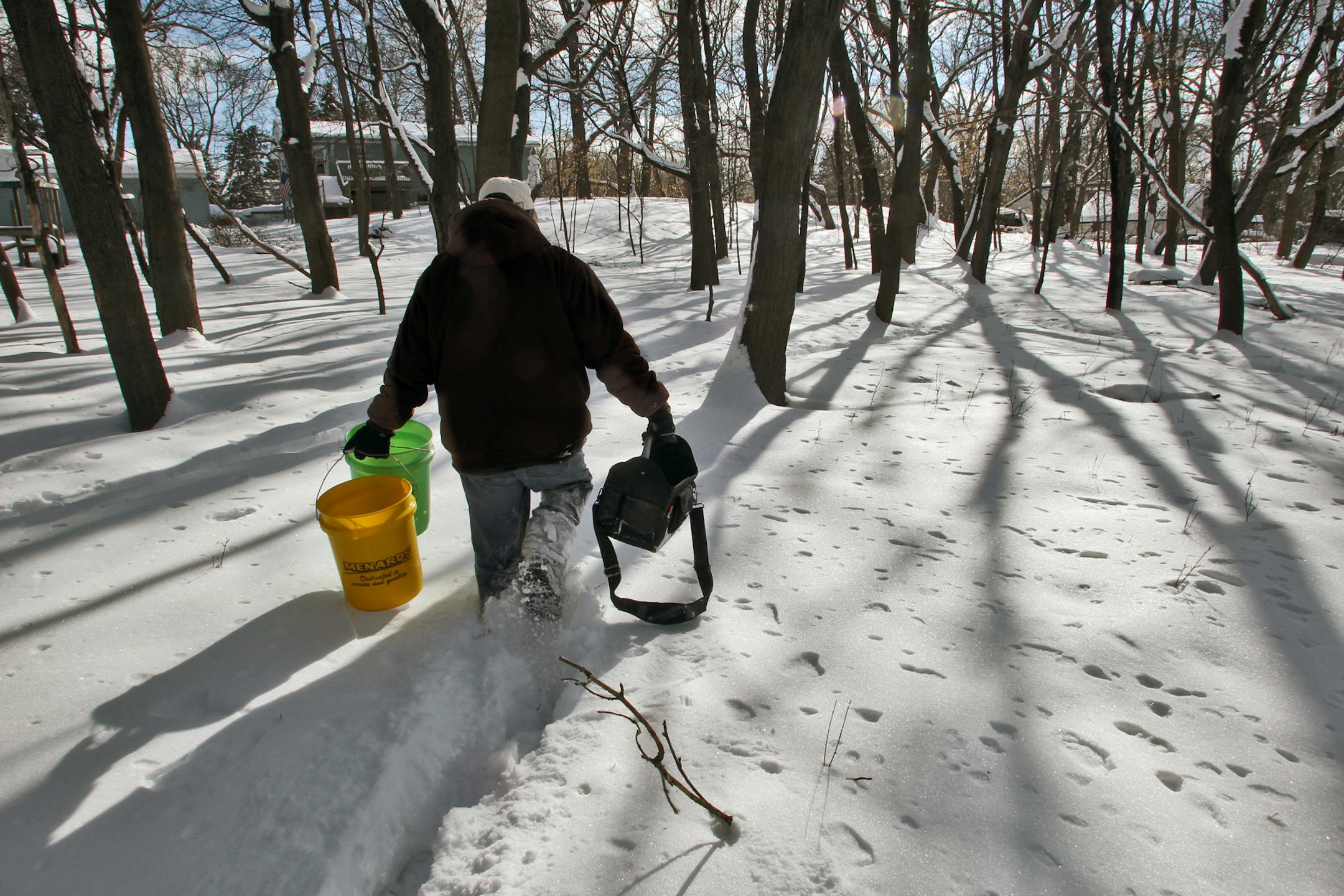 Chris Ransom tapped into an acre of sugar maples on his and neighboring property in Vadnais Heights. The snow is still deep but the drawing of maple sugar is a sure sign of spring.