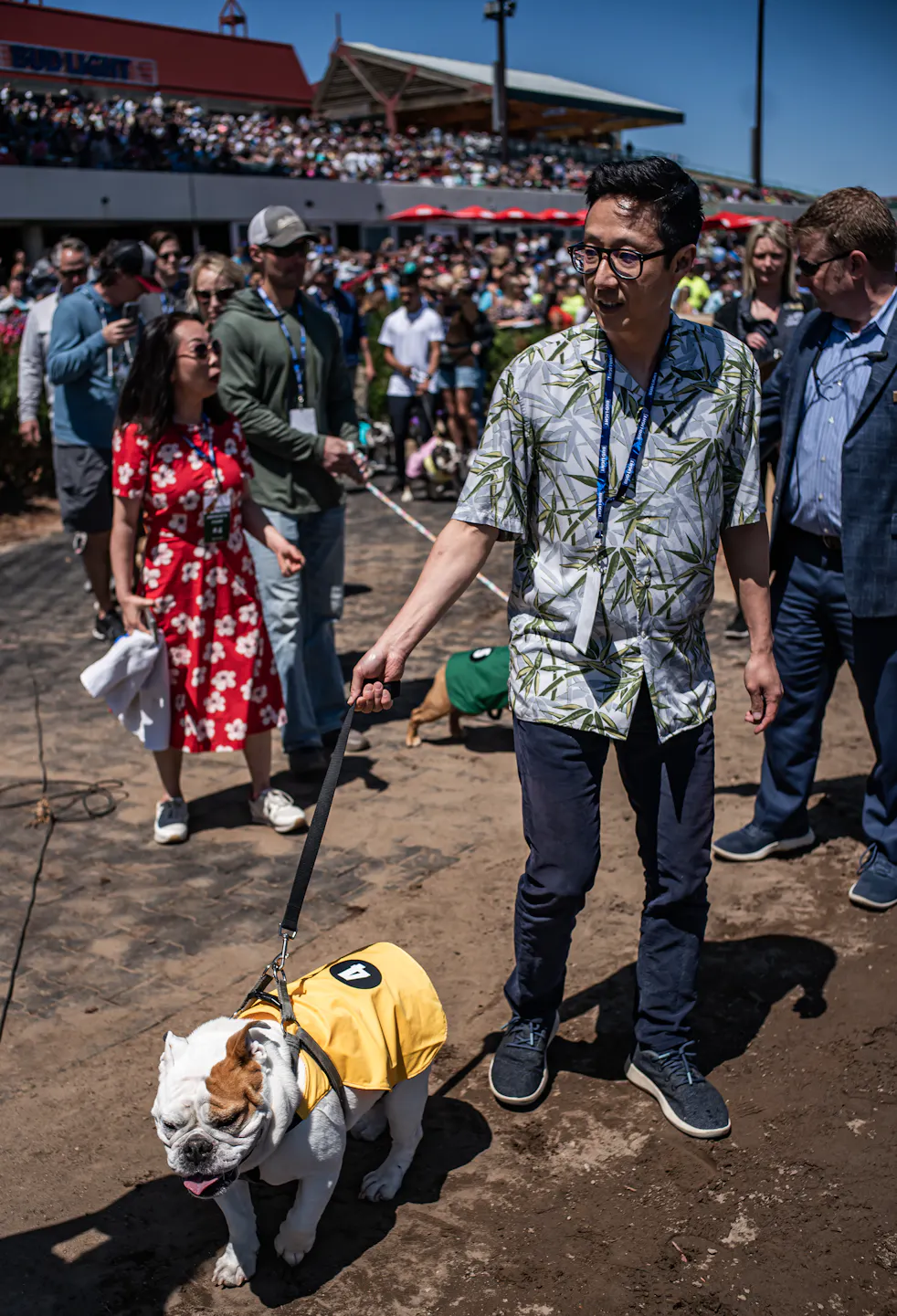 Dogs — from bulldogs to corgis — race the track at Canterbury Park