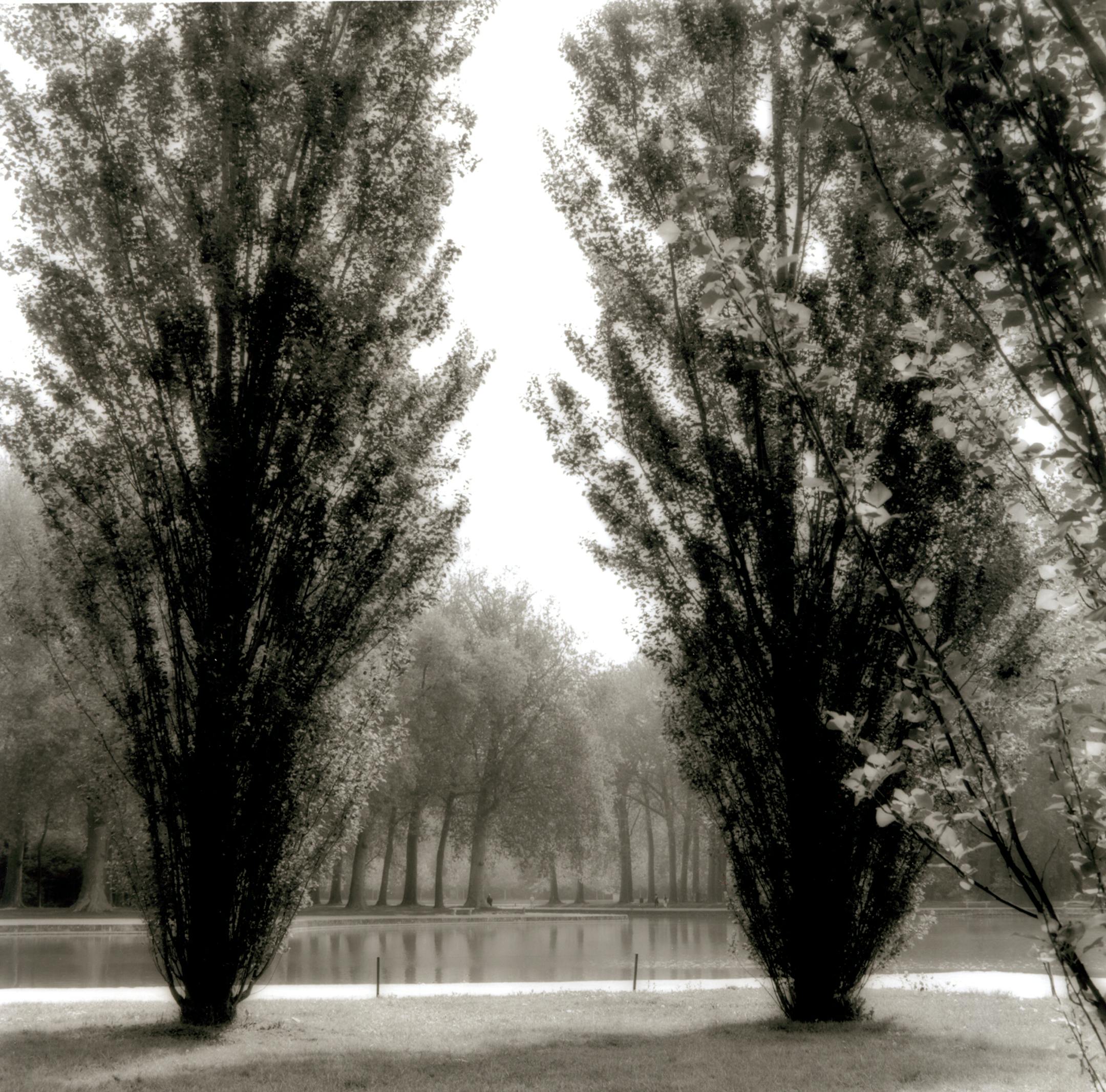 Lynn Geesaman's new book "Hazy Lights & Shadows" collects 20 years of her formal landscapes, including this 1987 image of Peover Hall in England.