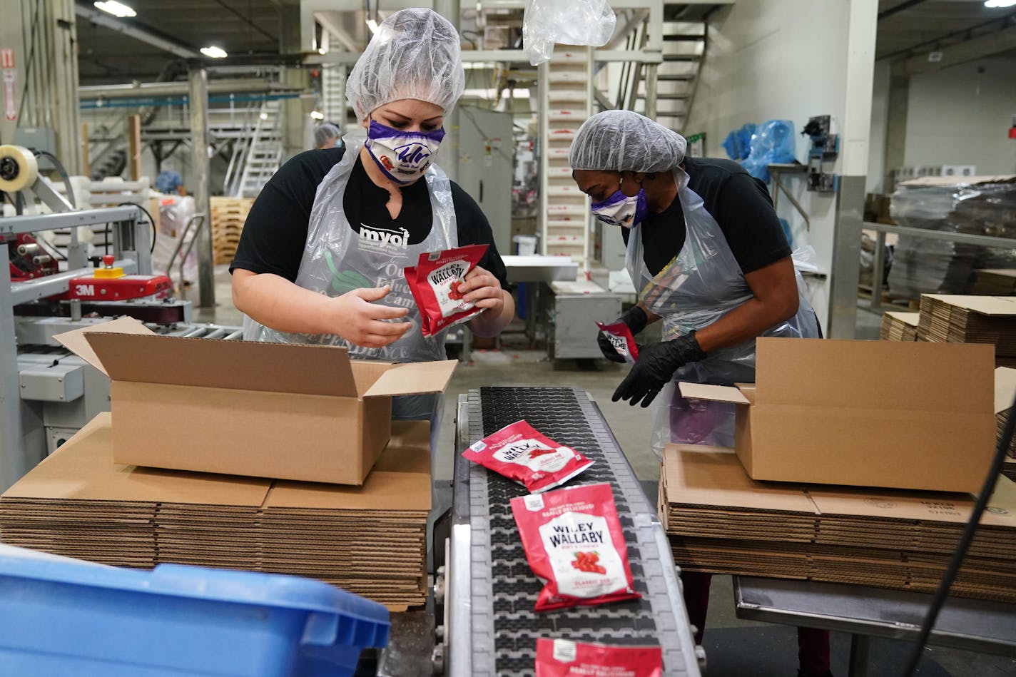 Naomi Hoffeeck and Denice Roberts boxed up packages of Wiley Wallaby Licorice from a conveyor at Kenny's Candy Wednesday morning. ] ANTHONY SOUFFLE • anthony.souffle@startribune.com Ken Nelson, founder of the Kenny's Candy Company, gave tour Wednesday, Oct. 7, 2020 of the town of Perham, Minn. where they make candy, potato chips and dog food, and their main problem is finding a place to put all the people who have jobs there.