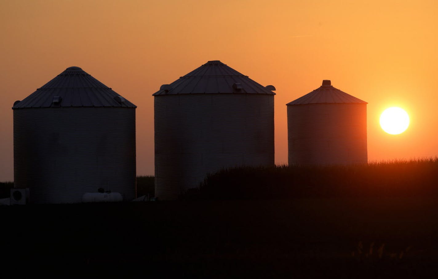 Corn silos are silhouetted by a setting sun Thursday, July 21, 2016, in Pleasant Plains, Ill. The Midwest's first dangerous bout of summer heat and humidity is partly to blame on the moisture being piped out of the ground and into the atmosphere by the increasing acreage of corn crops now reaching their peak, meteorologists and atmospheric researchers say. (AP Photo/Seth Perlman)