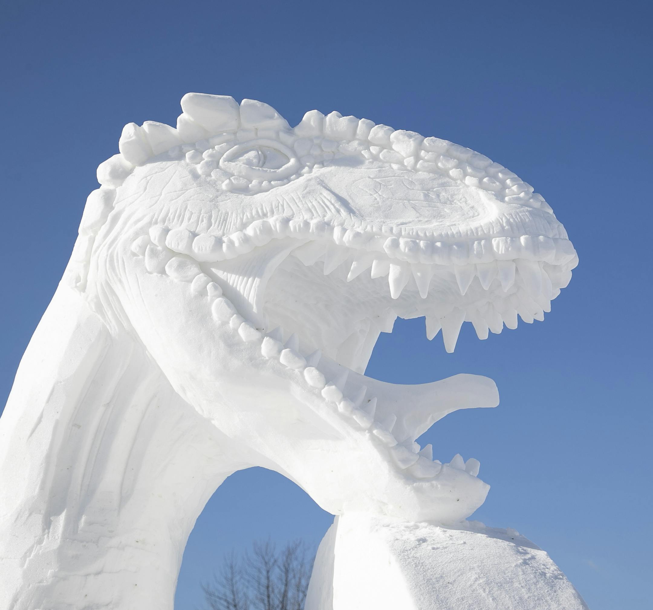 A giant T-Rex will greet visitors at the St. Paul Winter Carnival snow sculptures competition at the State Fairgrounds. ] Shari L. Gross ¥ shari.gross@startribune.com The Winter Carnival started this week, and today is the first day of the snow sculpting competition in Falcon Heights, Minn. at the State Fairgrounds on Friday, January 25, 2019