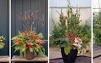 Tips from Pahl's Market and Leitner&#x2019;s Garden Center show how to take your greenery from winter to holiday.