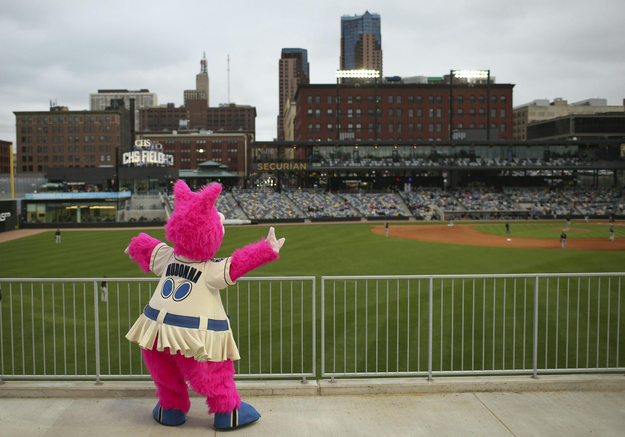 The Saints' mascot, Madonna, took in the view from the outfield patio Monday night. ] JEFF WHEELER ï jeff.wheeler@startribune.com St. Paul Saints fans got a preview of the new CHS Field in St. Paul's Lowertown when the Saints played their first - and only - home exhibition game against the Sioux City Explorers Monday night, May 17, 2015.