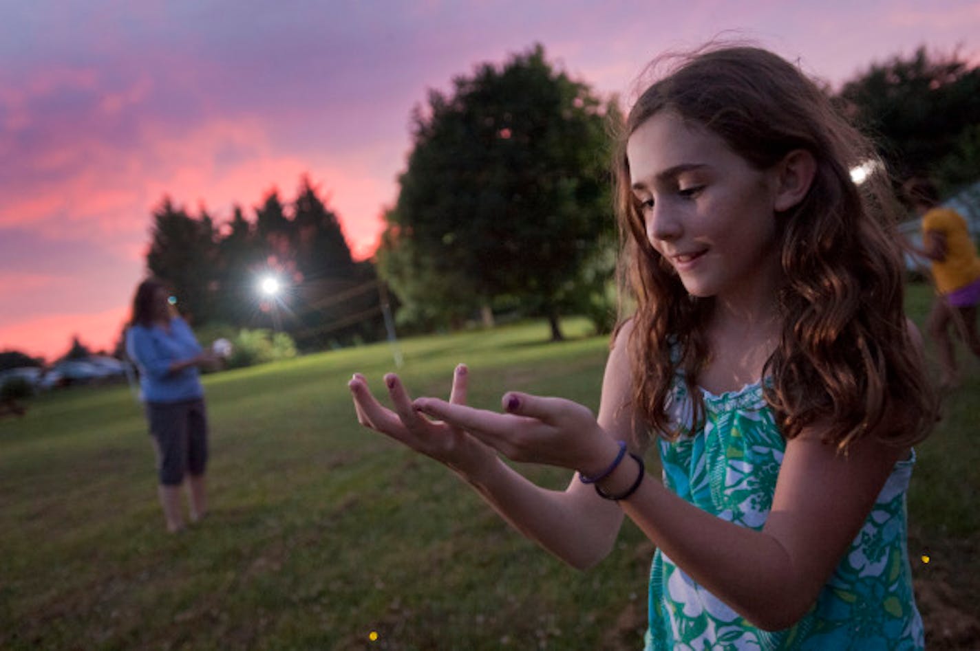 Gloria McComas catches fireflies in her yard in Woodbine, Maryland on June 11, 2011. After several years of decline in the lightning bug population, scientists say there could be a resurgence in the number and species of the beetles that lit the summer nights of our youth. (Karl Merton Ferron/Baltimore Sun/MCT)