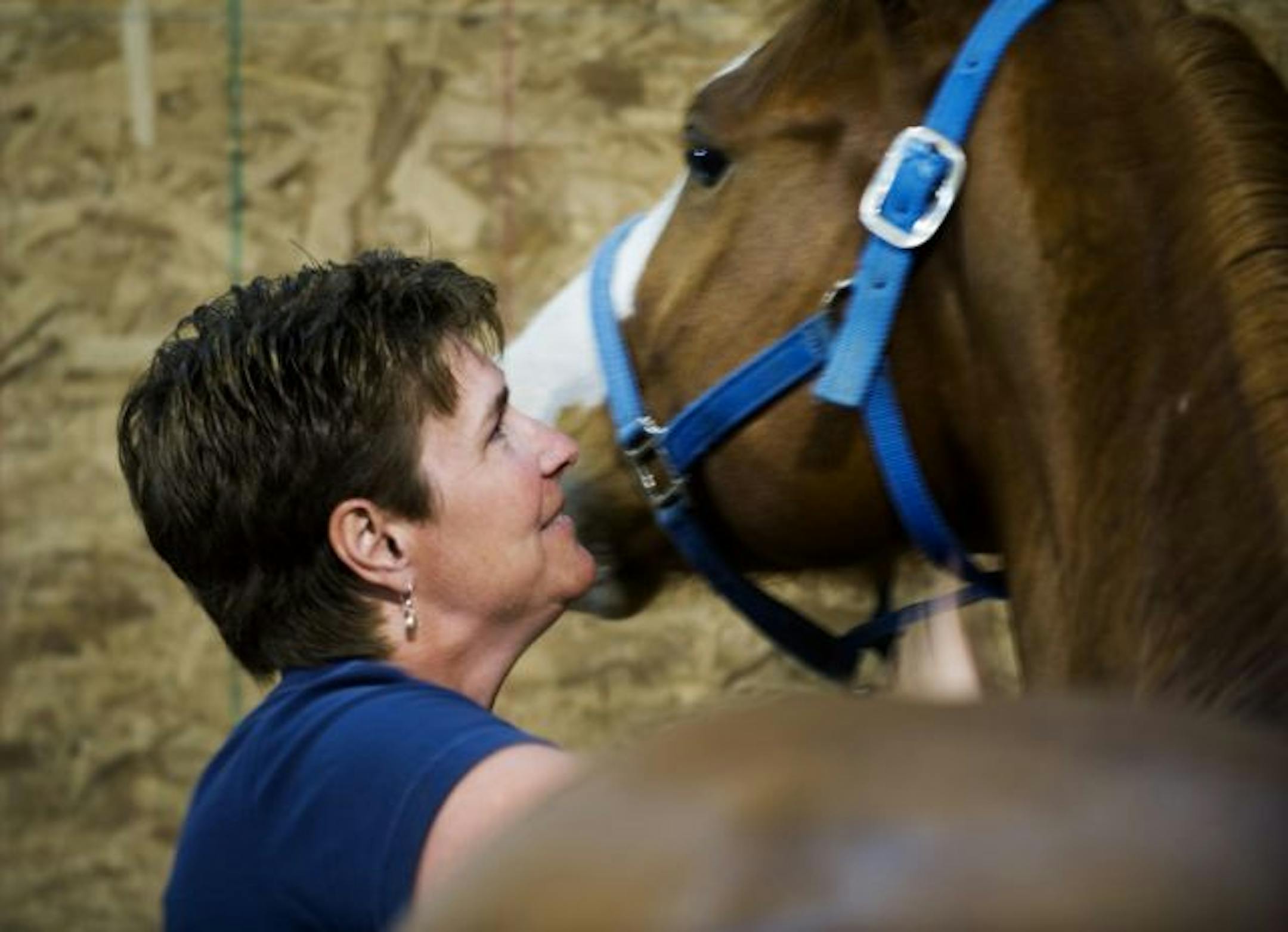 Judy VanVoorhis brushes down her horse, Piper, after a ride.