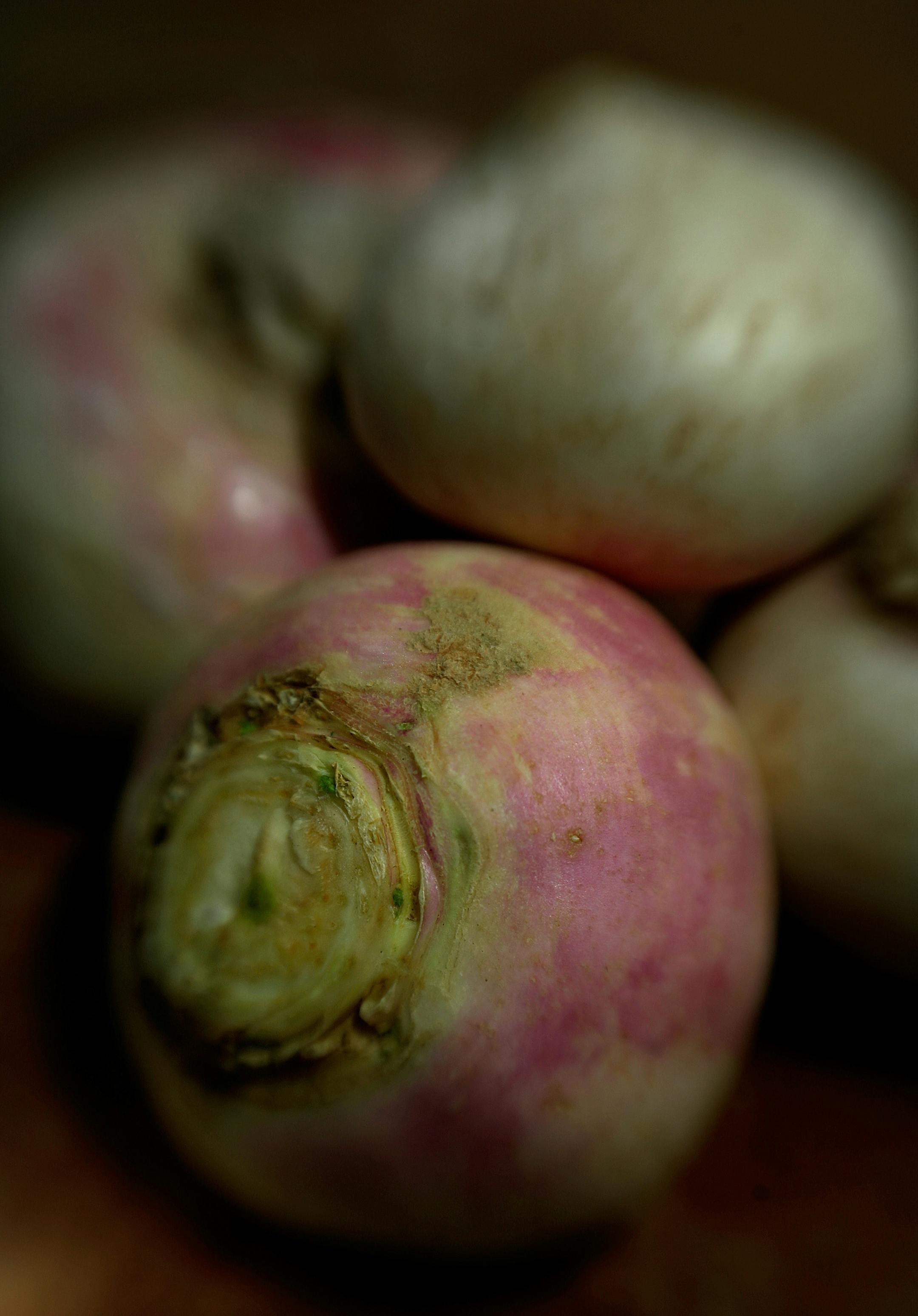 Turnips illustration for Taste.