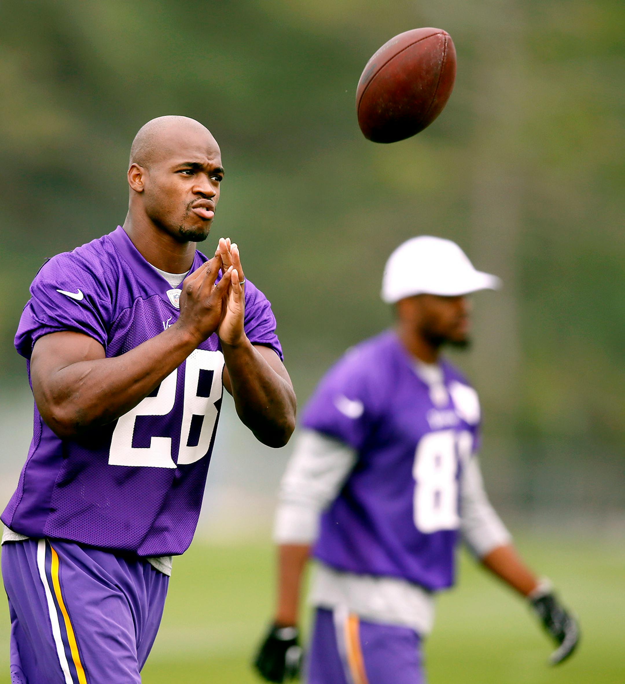 Adrian Peterson during NFL camp at Minnesota State, Mankato Saturday July 26, 2014.