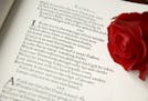 Shakespeare sonnet with rose