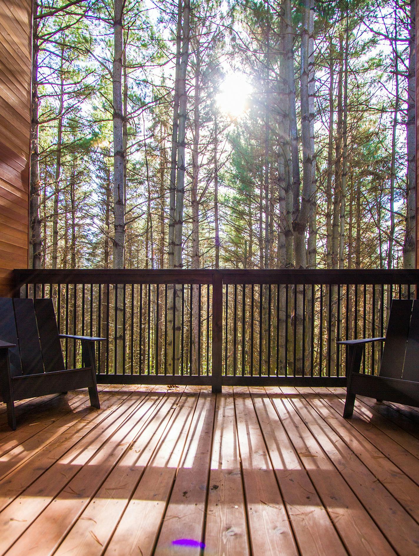 Camper cabins at Whitetail Woods Regional Park. HGA