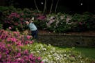 Justin Rose, of England, tees off on the 13th hole during the second round of the Masters golf tournament on Friday, April 9, 2021, in Augusta, Ga. (A